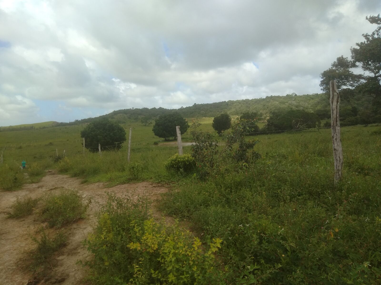 ASUS ZenFone 4 Selfie (ZD553KL) sample photo. Interior, landscape, nature photography