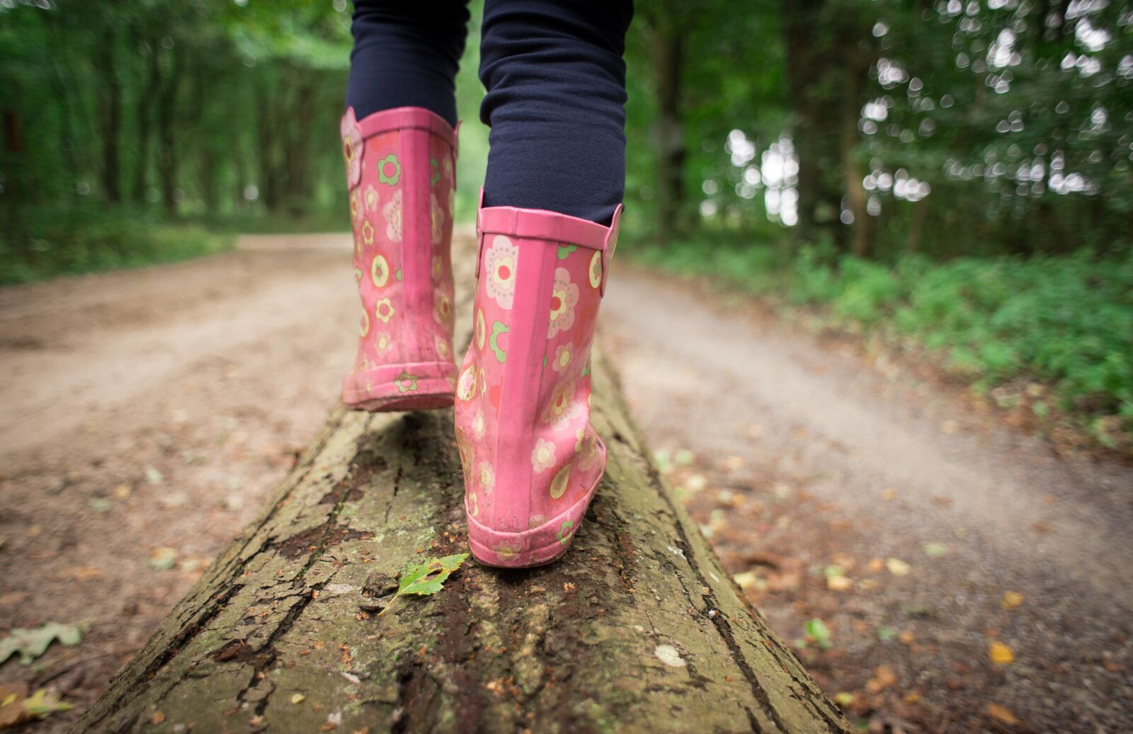 Nikon D610 sample photo. Girl, walking, forest photography