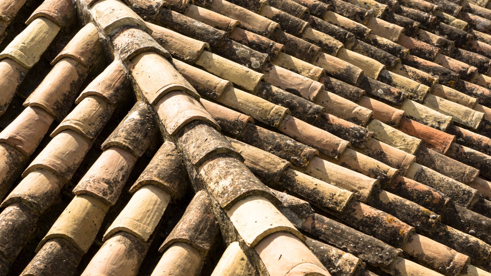 Sony E 55-210mm F4.5-6.3 OSS sample photo. Clay roof, slate roof photography