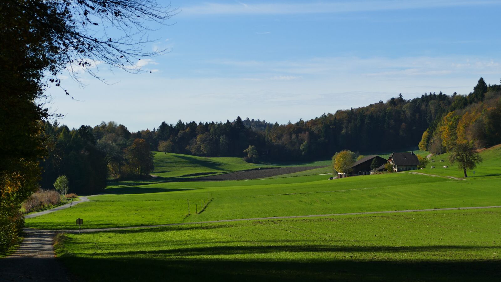 Panasonic Lumix DMC-FZ1000 sample photo. Landscape, farm, fields photography