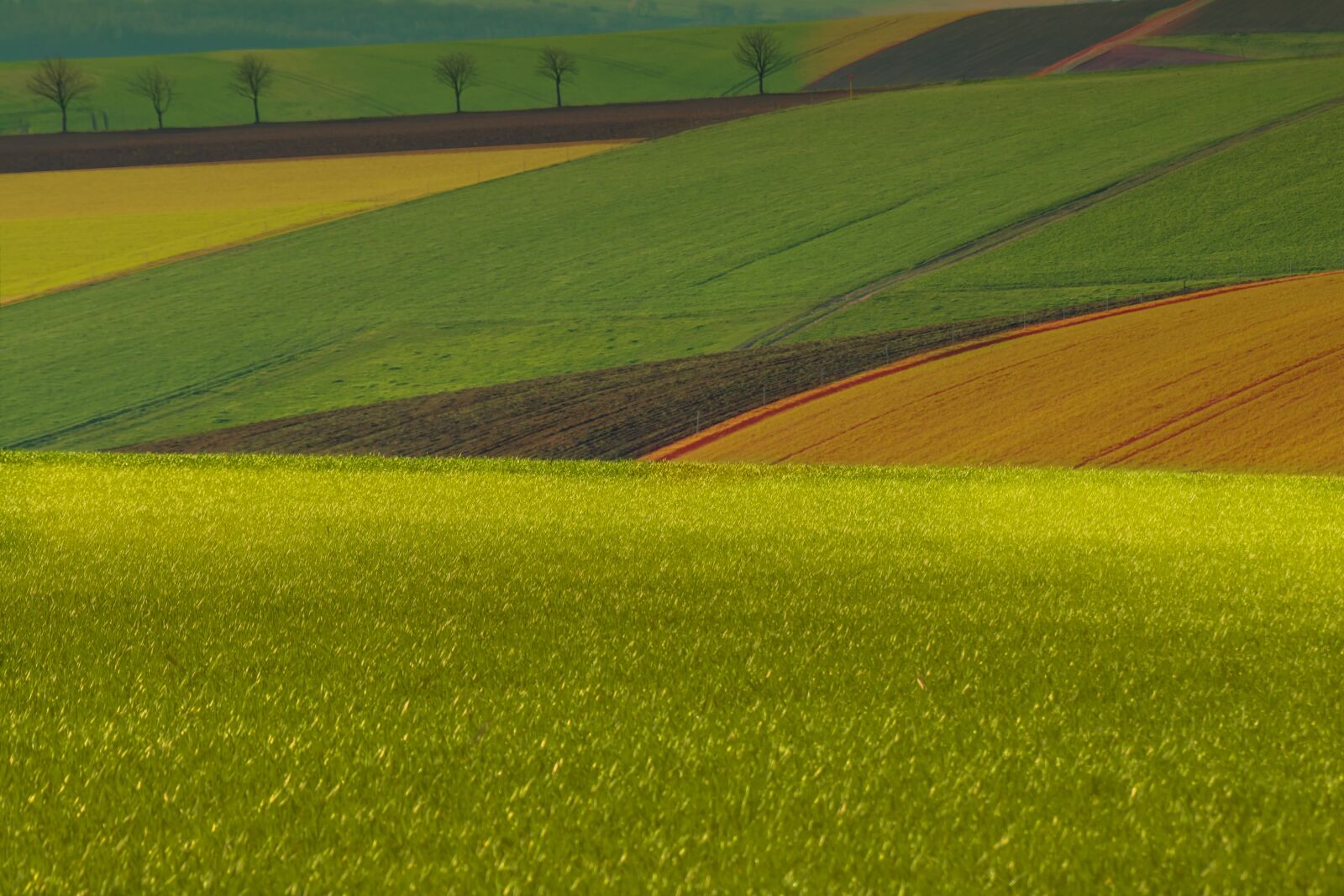 TAMRON SP 70-300mm F/4-5.6 Di VC USD A005E sample photo. Landscape, wheat field, beginning photography