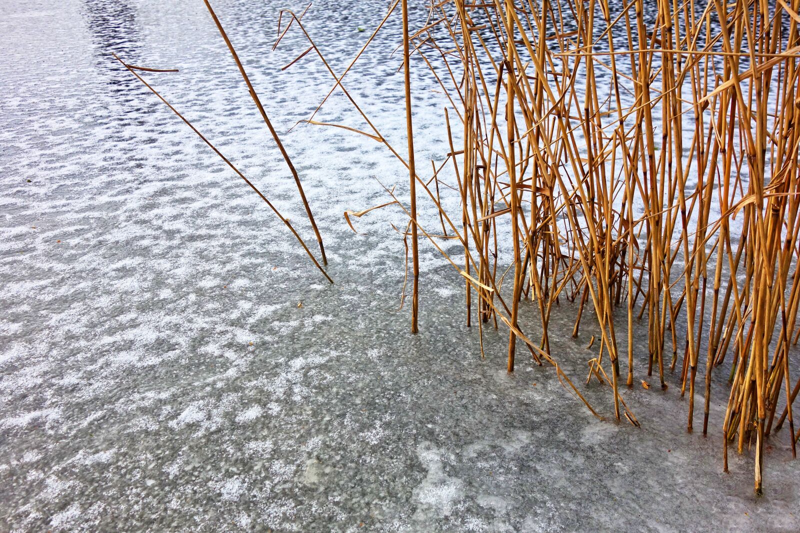 Sony Cyber-shot DSC-RX100 sample photo. Ice, frozen, pond photography