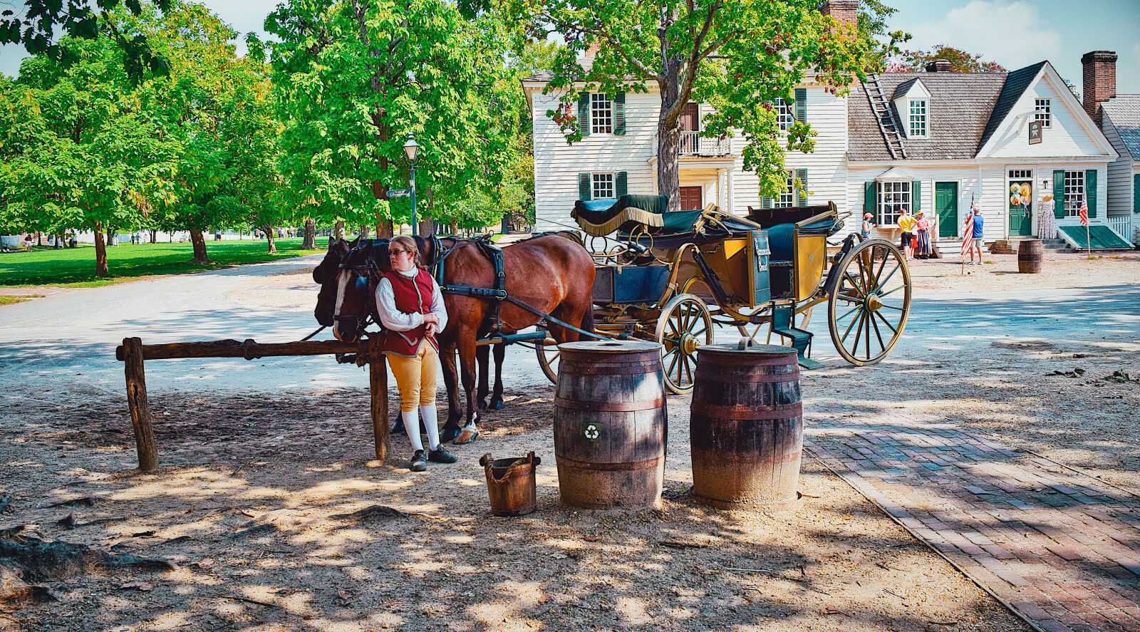 Nikon D3300 sample photo. Carriage, colonial, horses, williamsburg photography