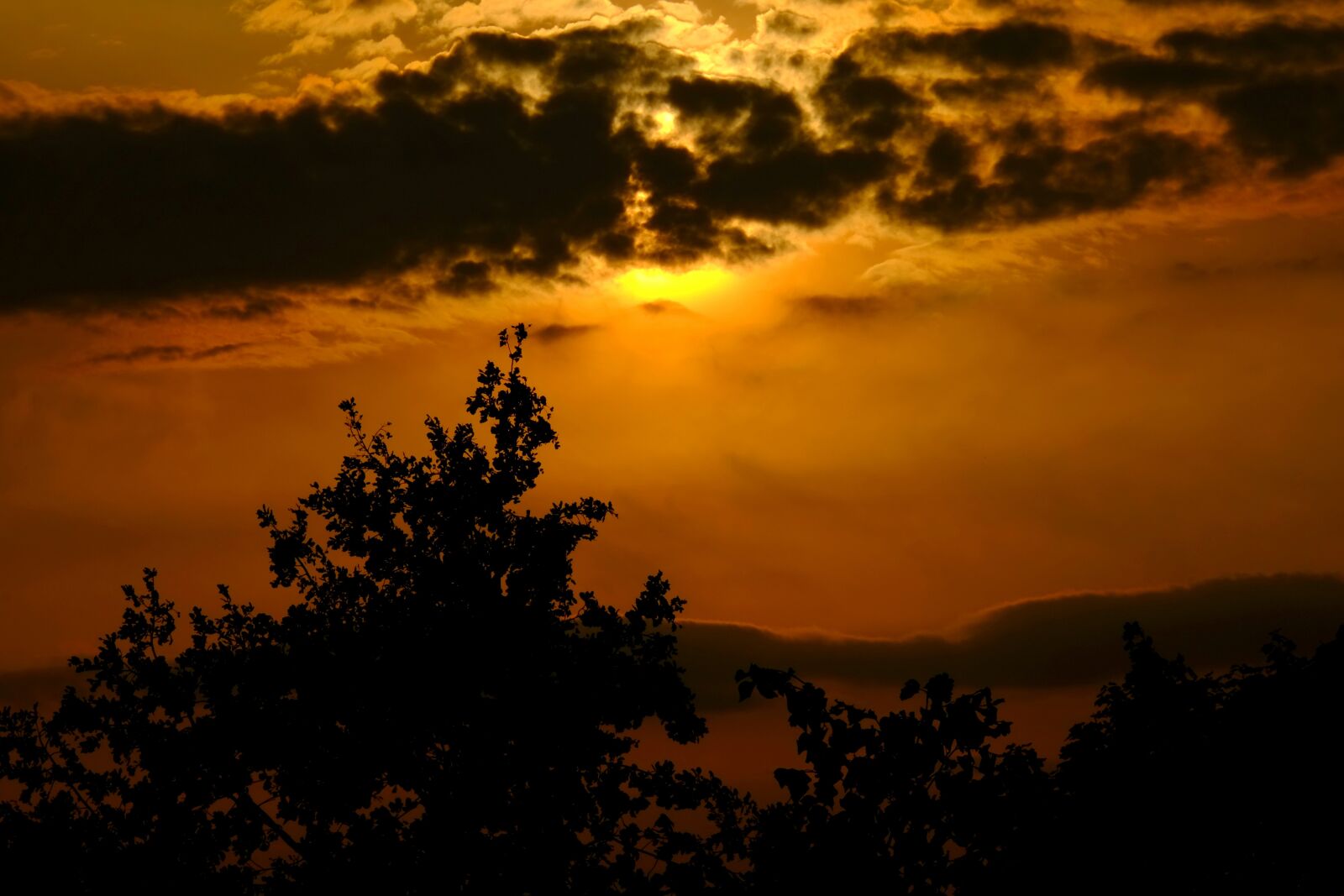 Fujifilm X-E1 sample photo. Sunset, abendstimmung, sky photography