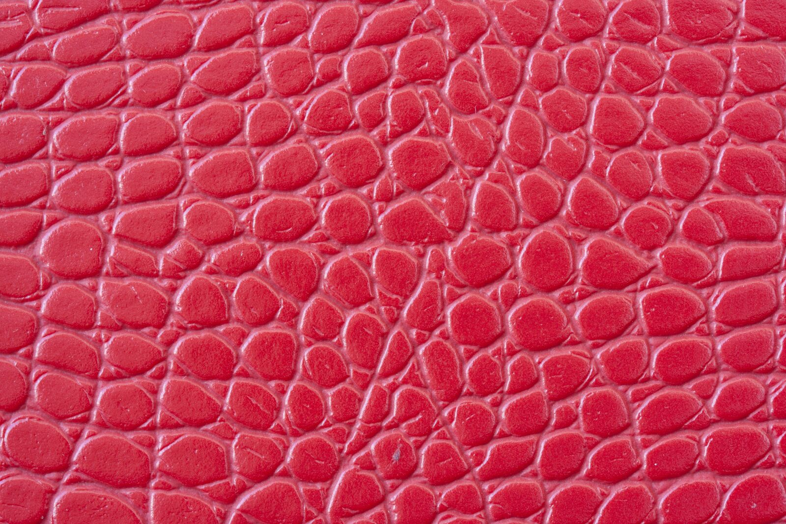 Canon EF-S 60mm F2.8 Macro USM sample photo. Skin, texture, pattern photography