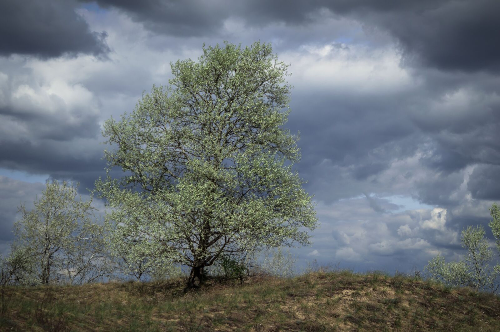 Nikon D3200 sample photo. Spring, cloudy, rain cloud photography