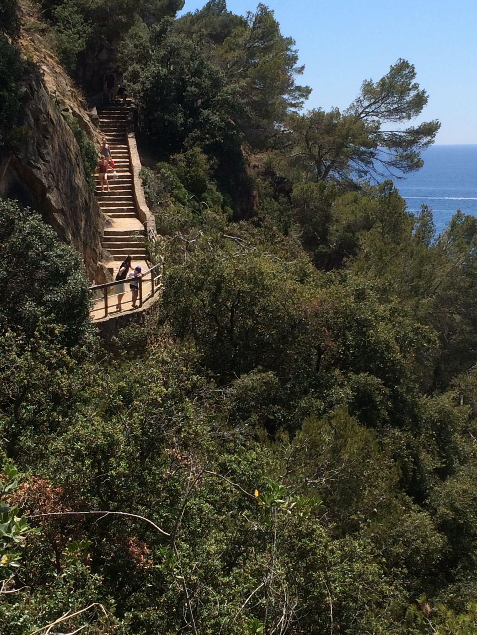 iPhone 5s back camera 4.15mm f/2.2 sample photo. The slope, forest, landscape photography