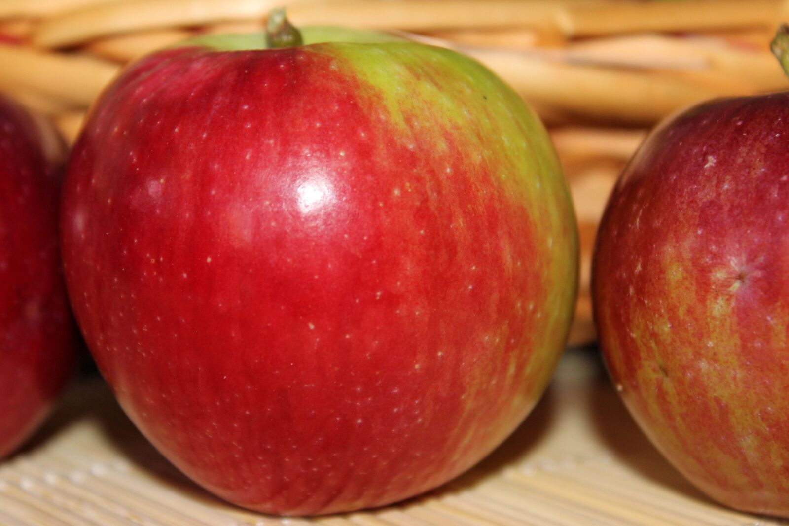 Canon EOS 600D (Rebel EOS T3i / EOS Kiss X5) sample photo. Apple, fruit, red photography