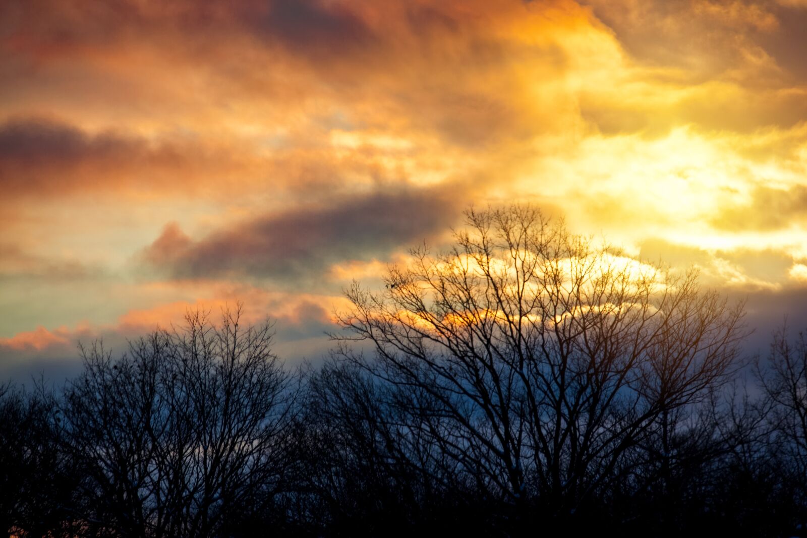 Canon EOS 5D Mark II + Canon EF 28-300mm F3.5-5.6L IS USM sample photo. Sunset, sky, orange photography