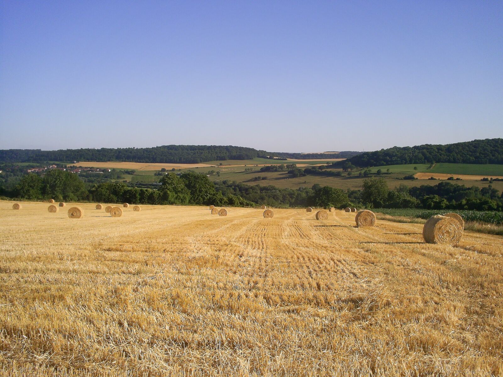 Samsung Digimax A502 sample photo. "Field, harvest, straw" photography
