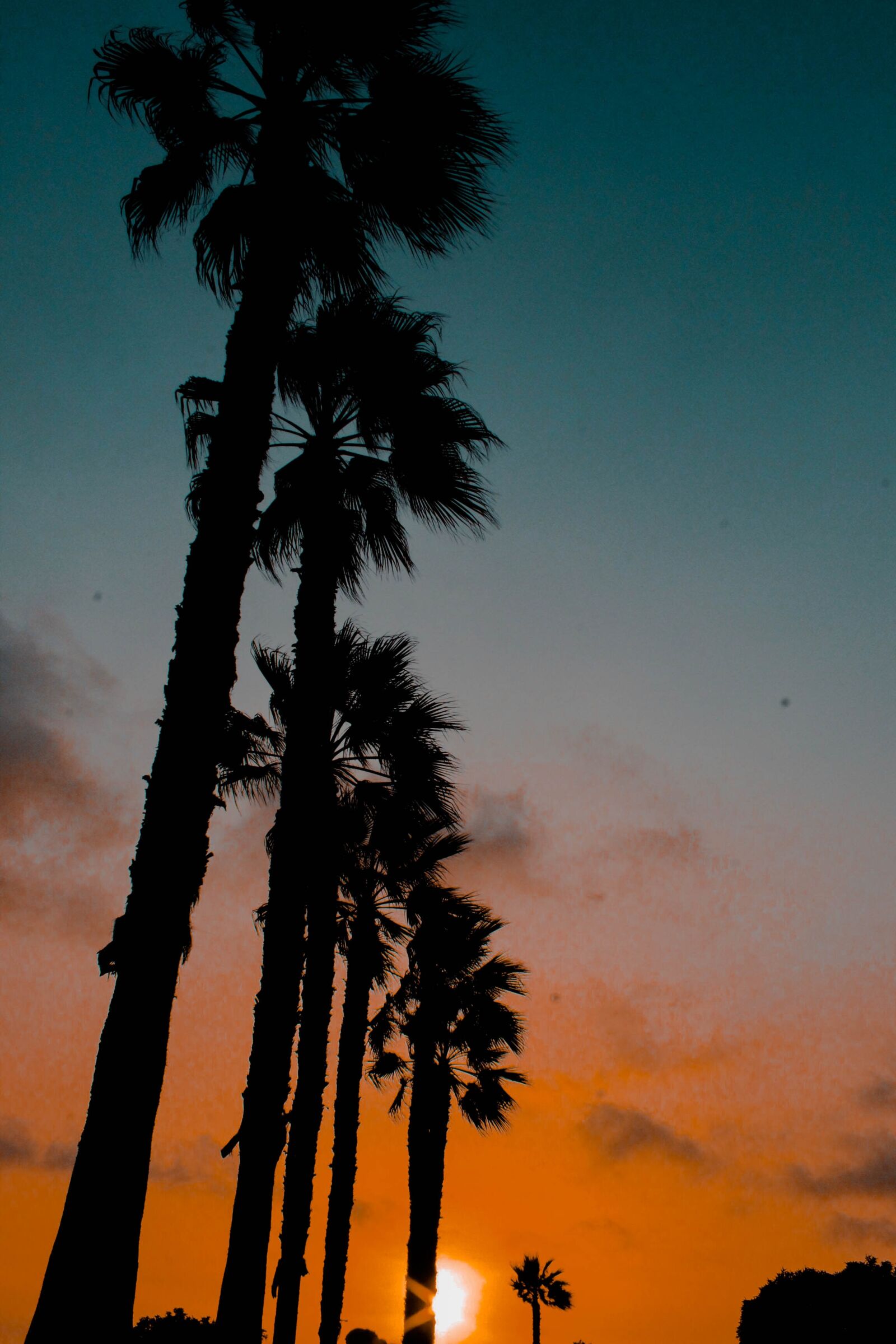 Canon EOS 1300D (EOS Rebel T6 / EOS Kiss X80) sample photo. Beach, sunset, city photography