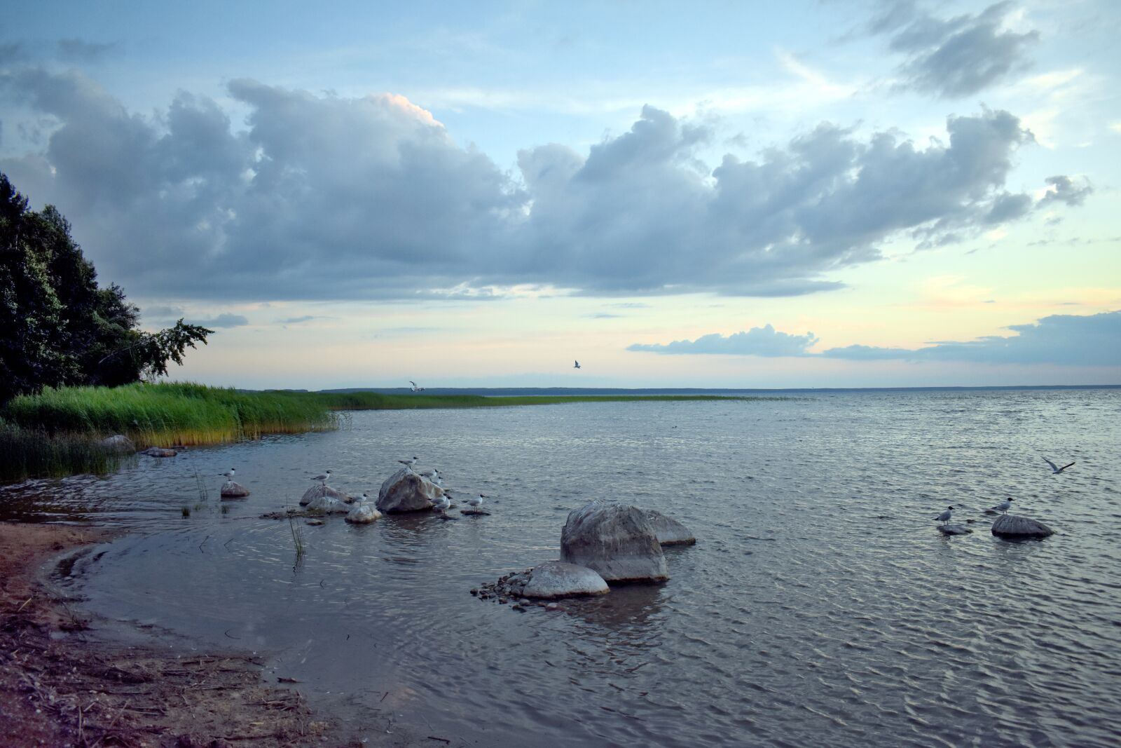 Nikon D3400 sample photo. Lake, bad weather, windy photography