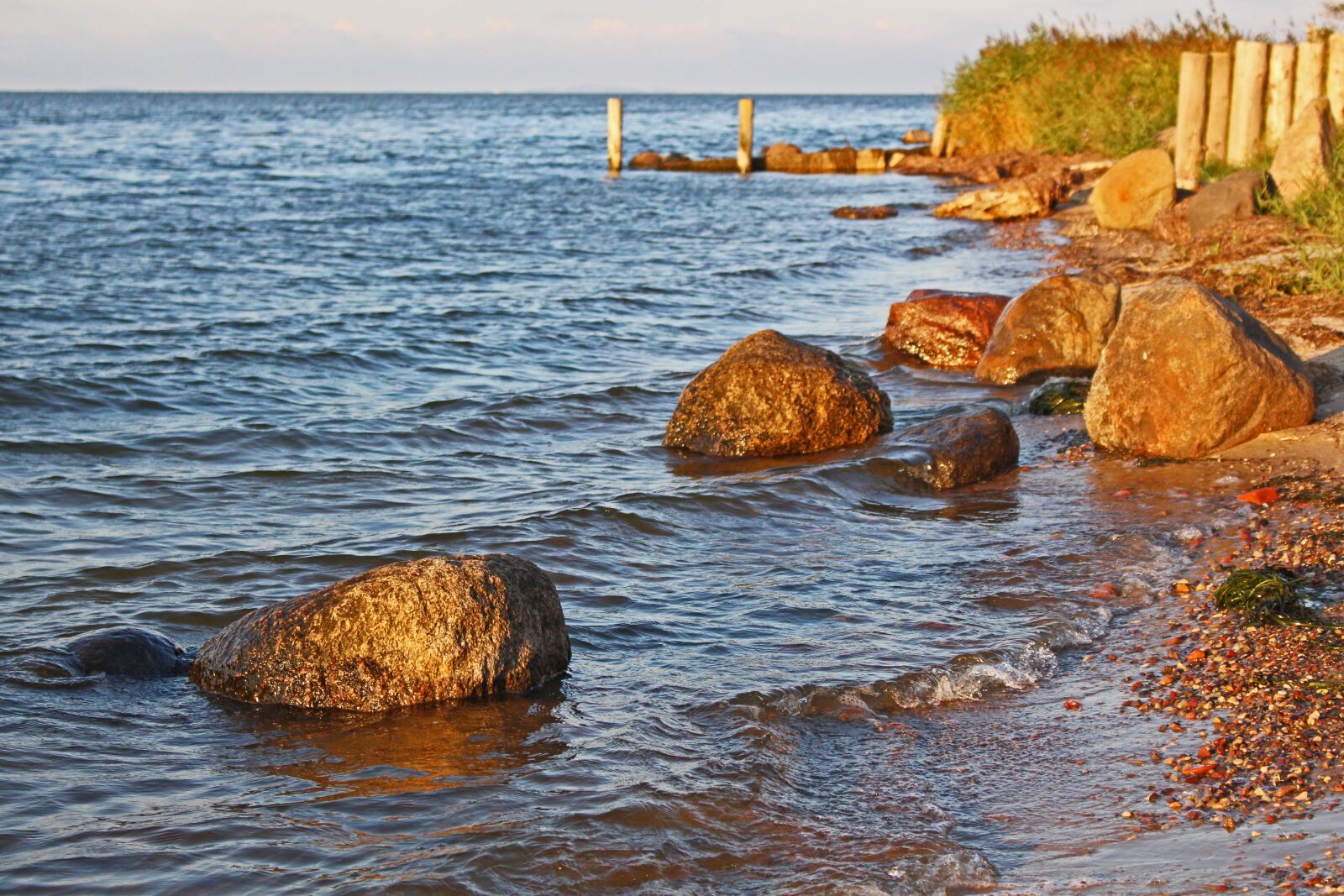 Canon EOS 700D (EOS Rebel T5i / EOS Kiss X7i) sample photo. Bodden, riems, nature photography