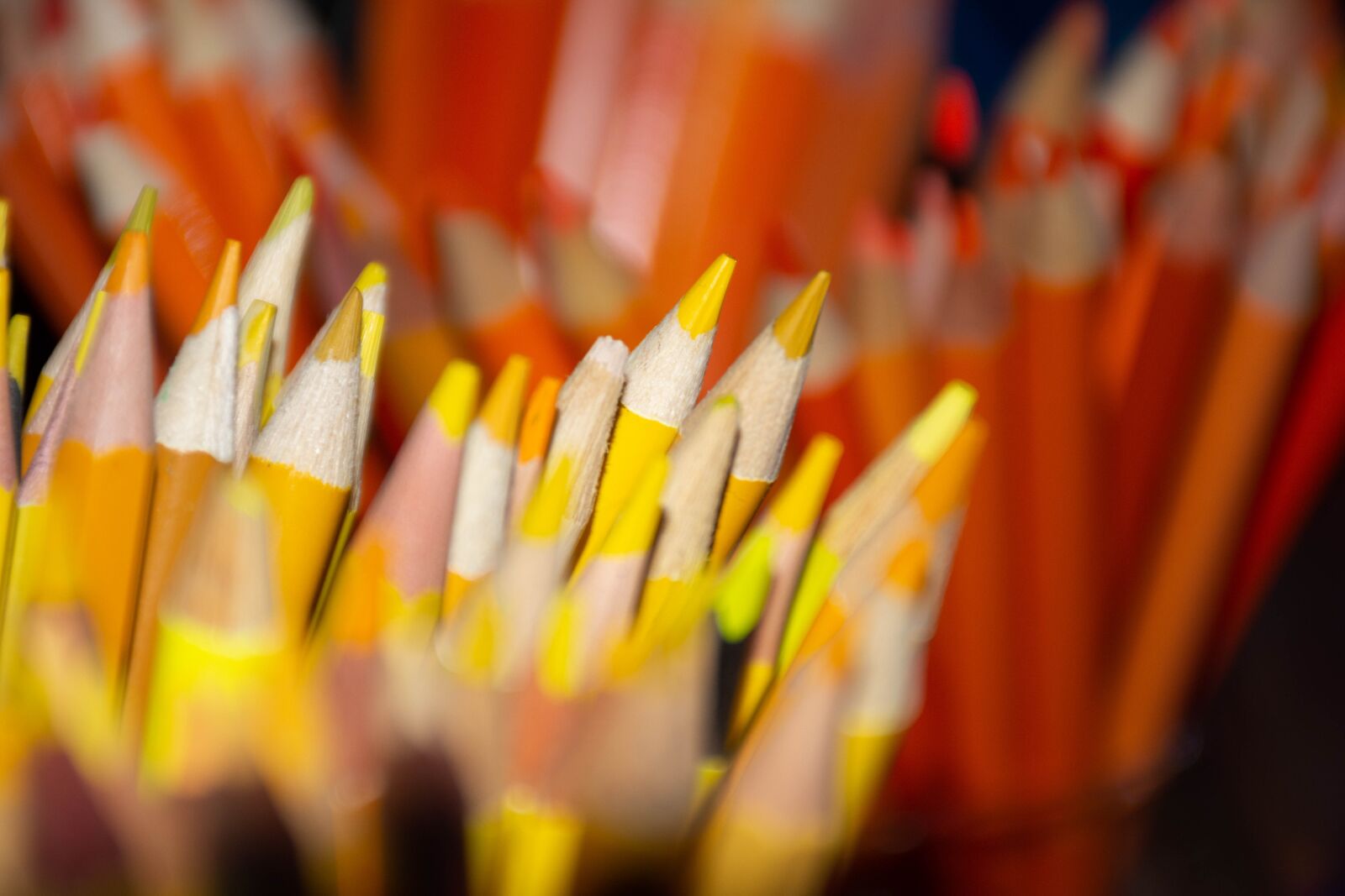 Nikon D7200 sample photo. Pencils, colorful, color photography