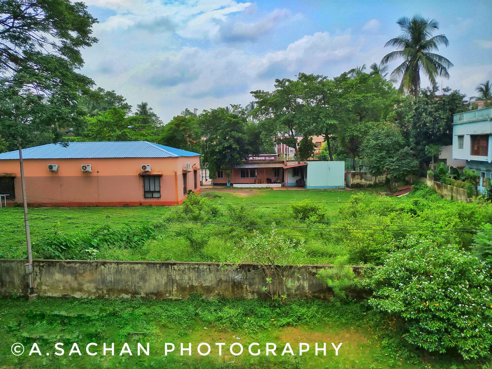 Xiaomi Mi A2 sample photo. Landscape, green, nature photography