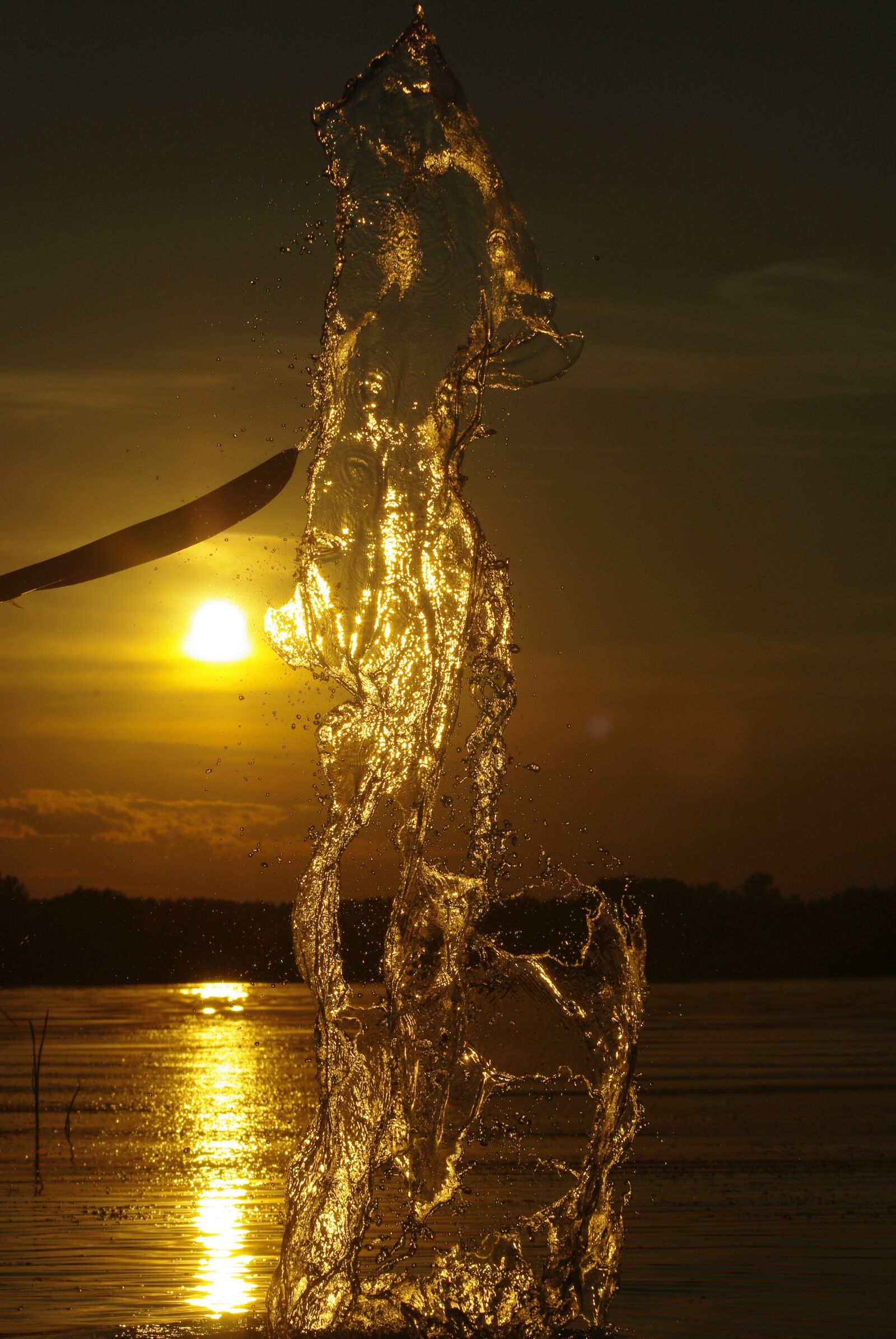 Pentax K200D sample photo. Water, gold, nature photography