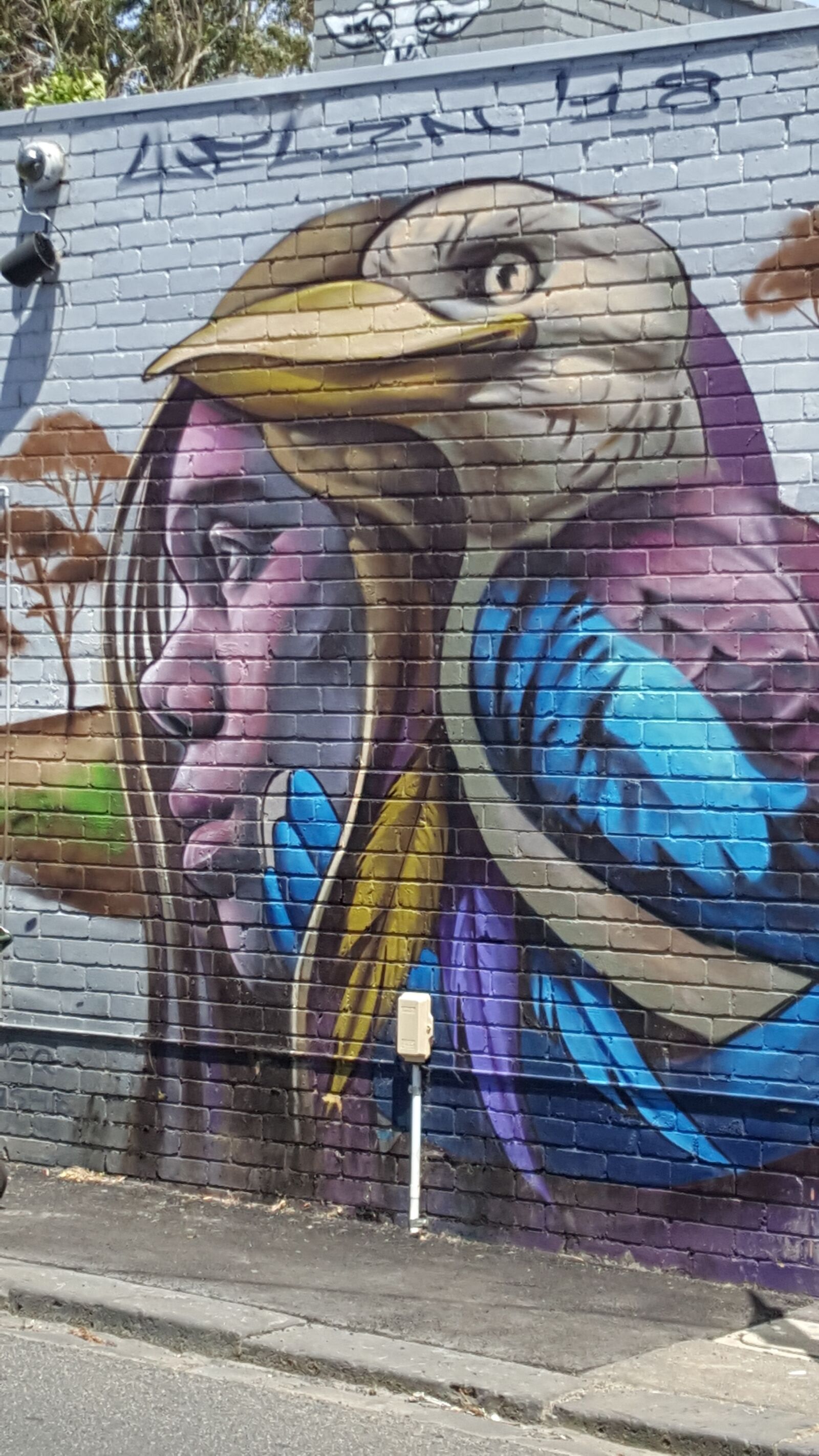 Samsung Galaxy S6 sample photo. Australia, bird, street art photography