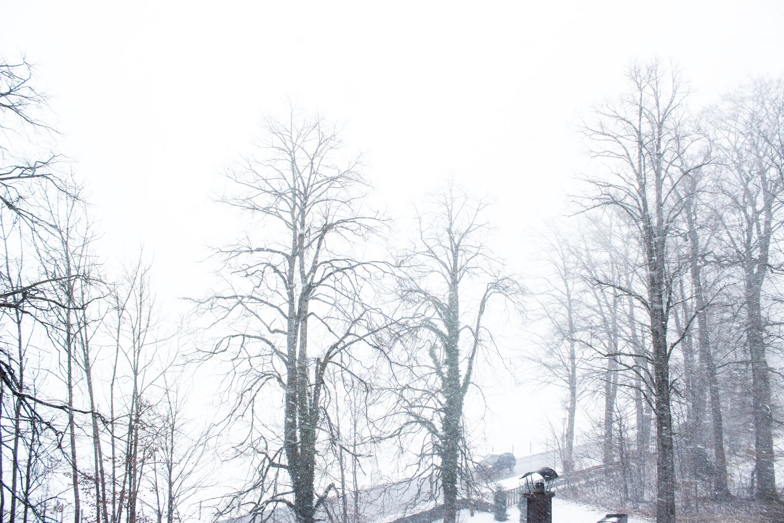 Canon EOS 1300D (EOS Rebel T6 / EOS Kiss X80) sample photo. Snow flurry, winter, snow photography
