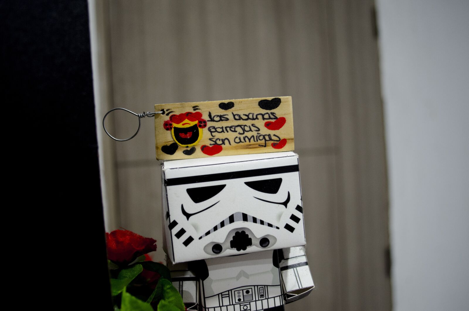Nikon D5100 sample photo. Apoca, cheche, tasting photography