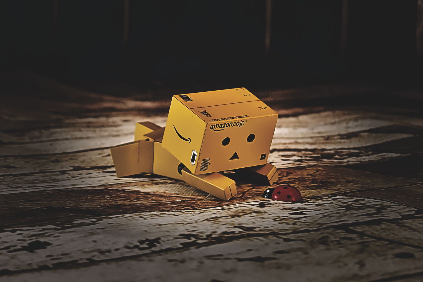 Nikon D7200 sample photo. Danbo, lucky ladybug, good photography