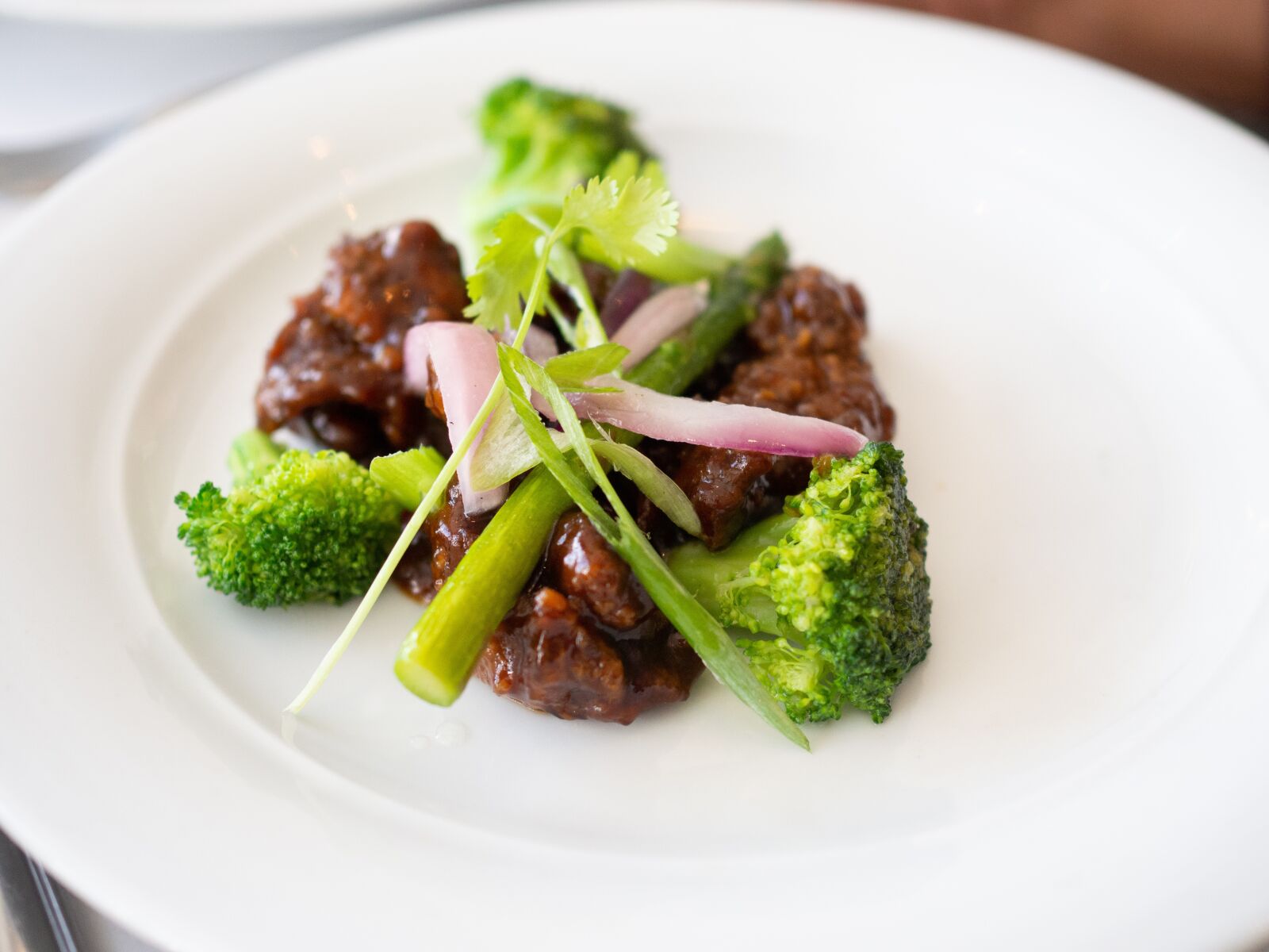 Olympus OM-D E-M10 II sample photo. Beef, broccoli, onion photography