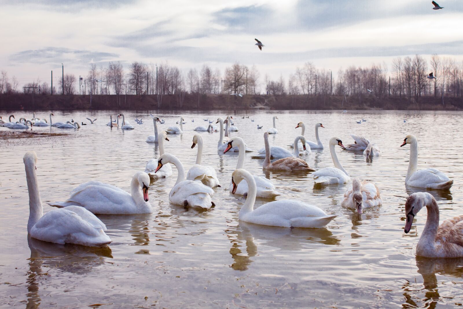 Canon EOS 7D sample photo. Water, pond, nature photography