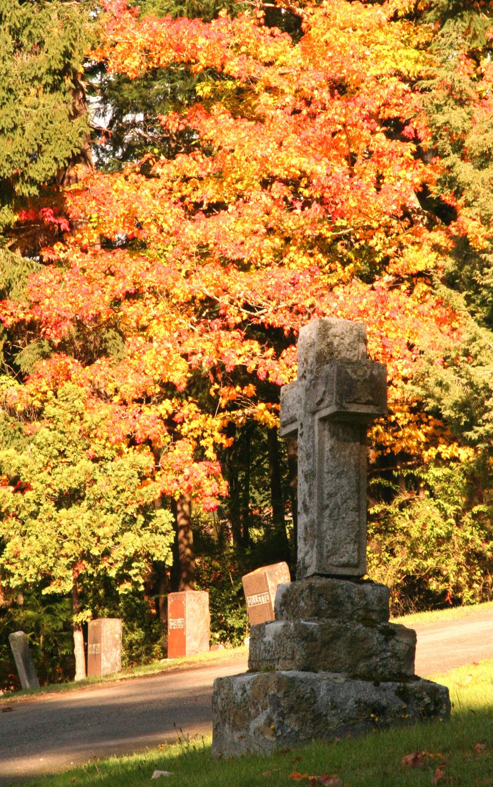 Canon EOS 350D (EOS Digital Rebel XT / EOS Kiss Digital N) sample photo. Fall leaves, cemetery, season photography