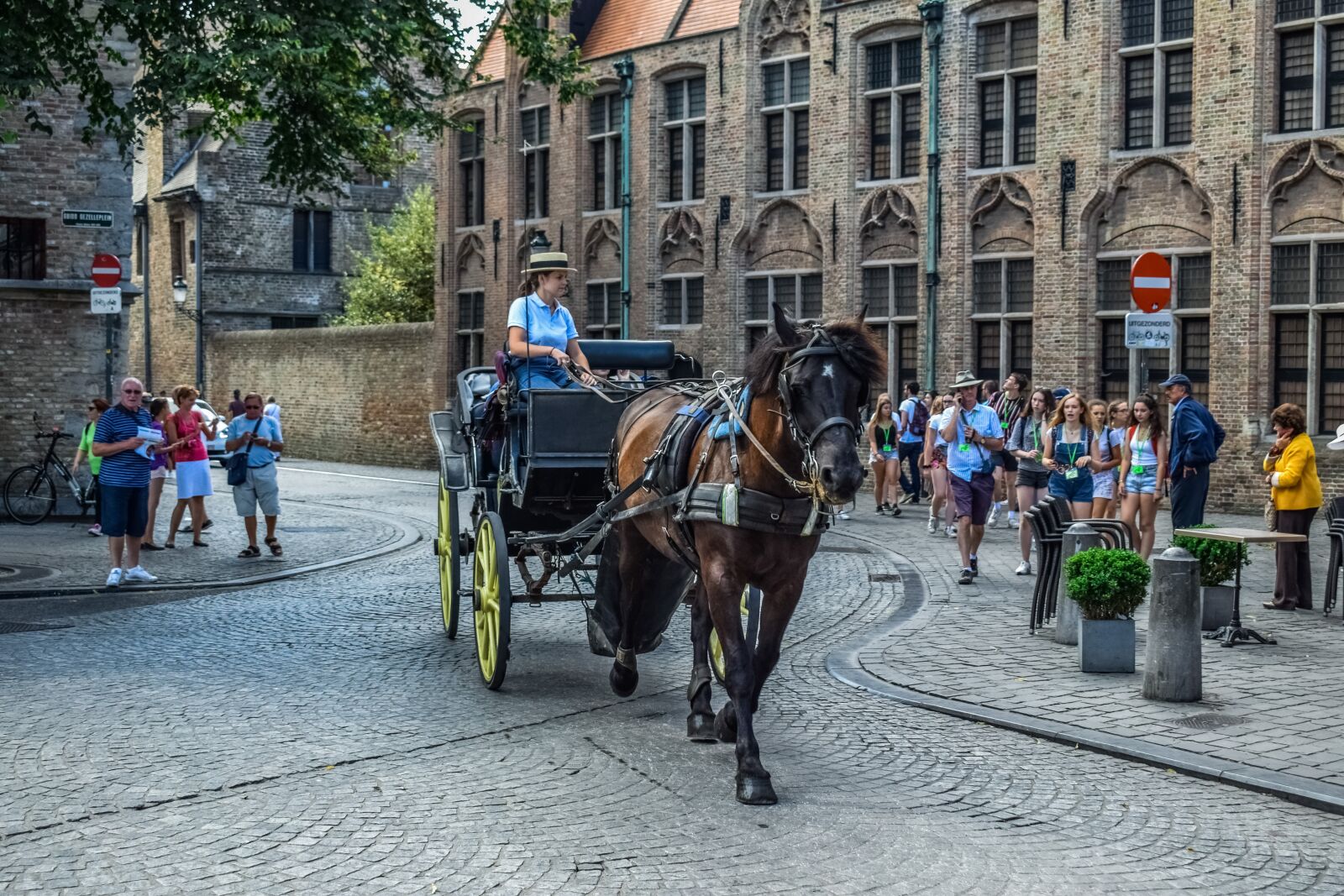 Nikon D3300 sample photo. Coach, horse, transport photography