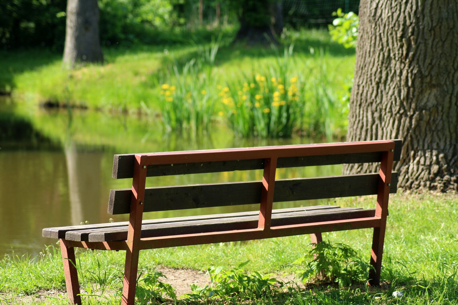 Canon EOS 1200D (EOS Rebel T5 / EOS Kiss X70 / EOS Hi) sample photo. Bench, nature, rest photography