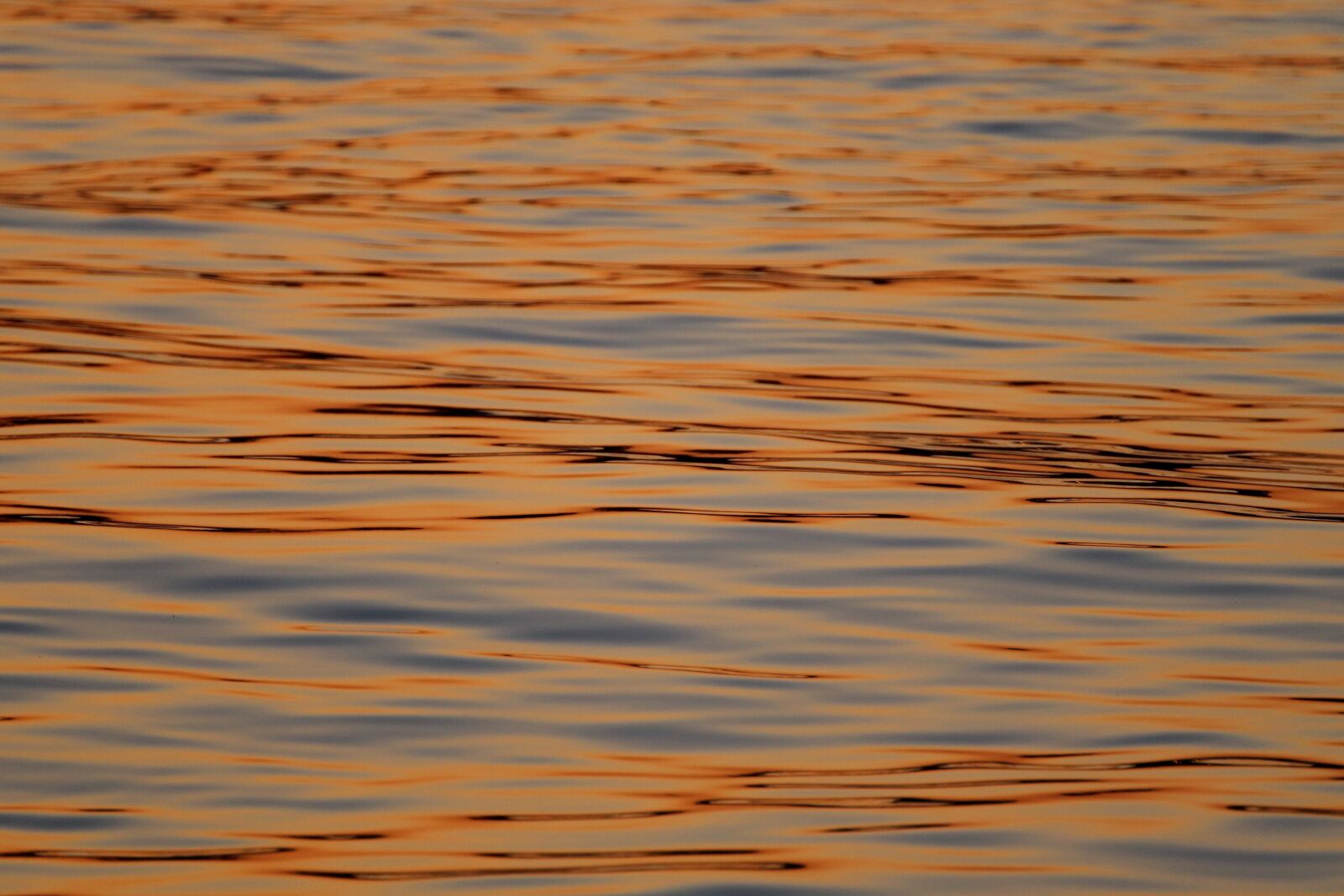 Canon EOS 200D (EOS Rebel SL2 / EOS Kiss X9) sample photo. Water, sunset, mirroring photography