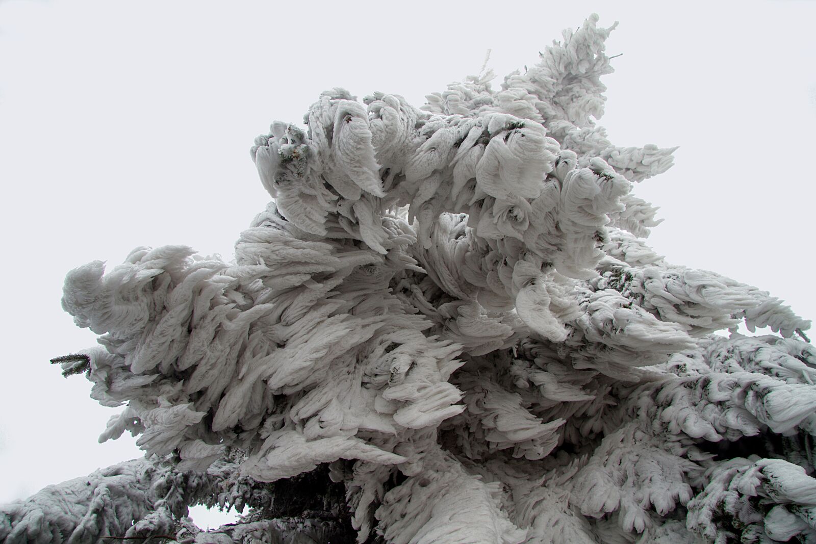 Canon EOS 7D sample photo. Winter, snow, wintry photography