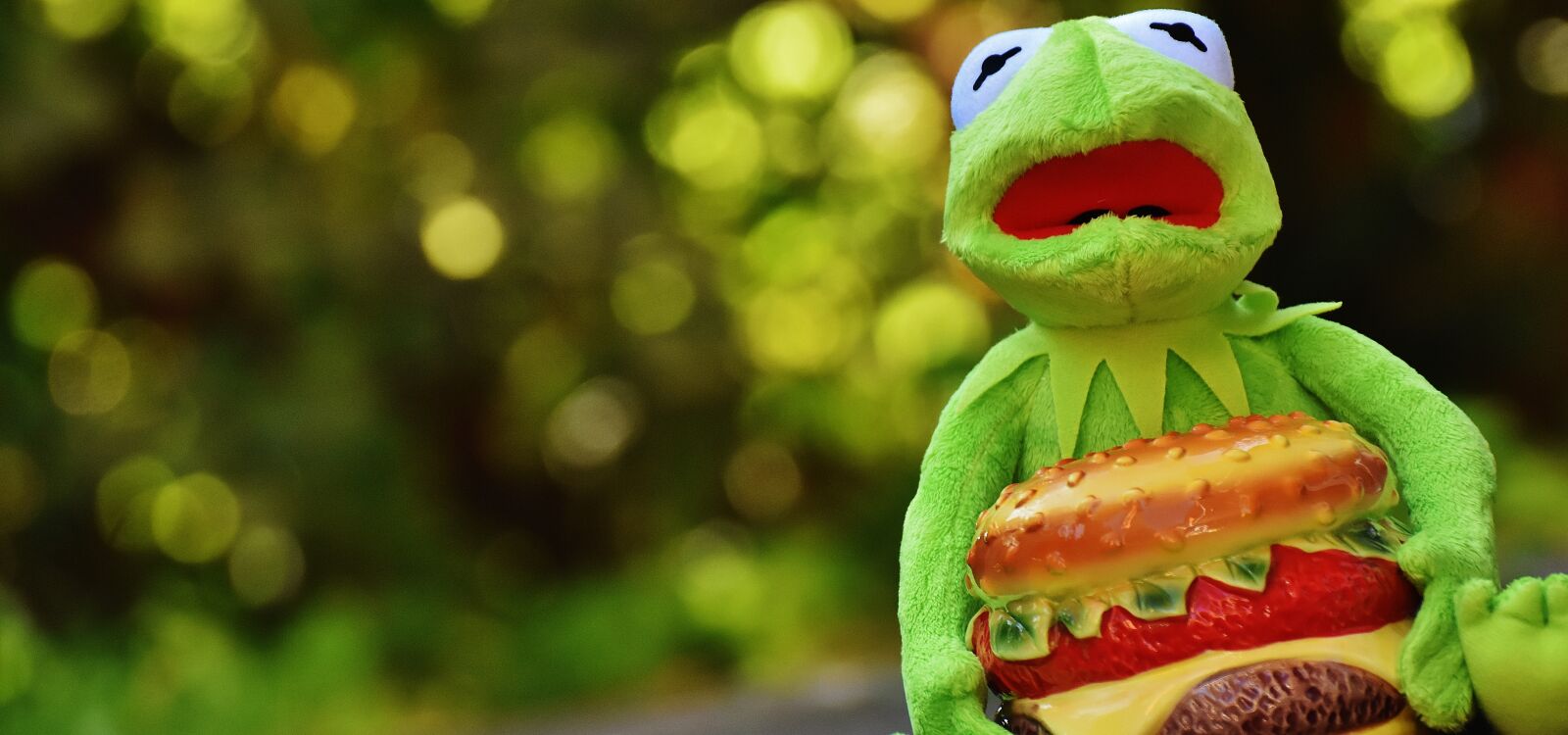 Nikon D7200 sample photo. Kermit, frog, cheeseburger photography