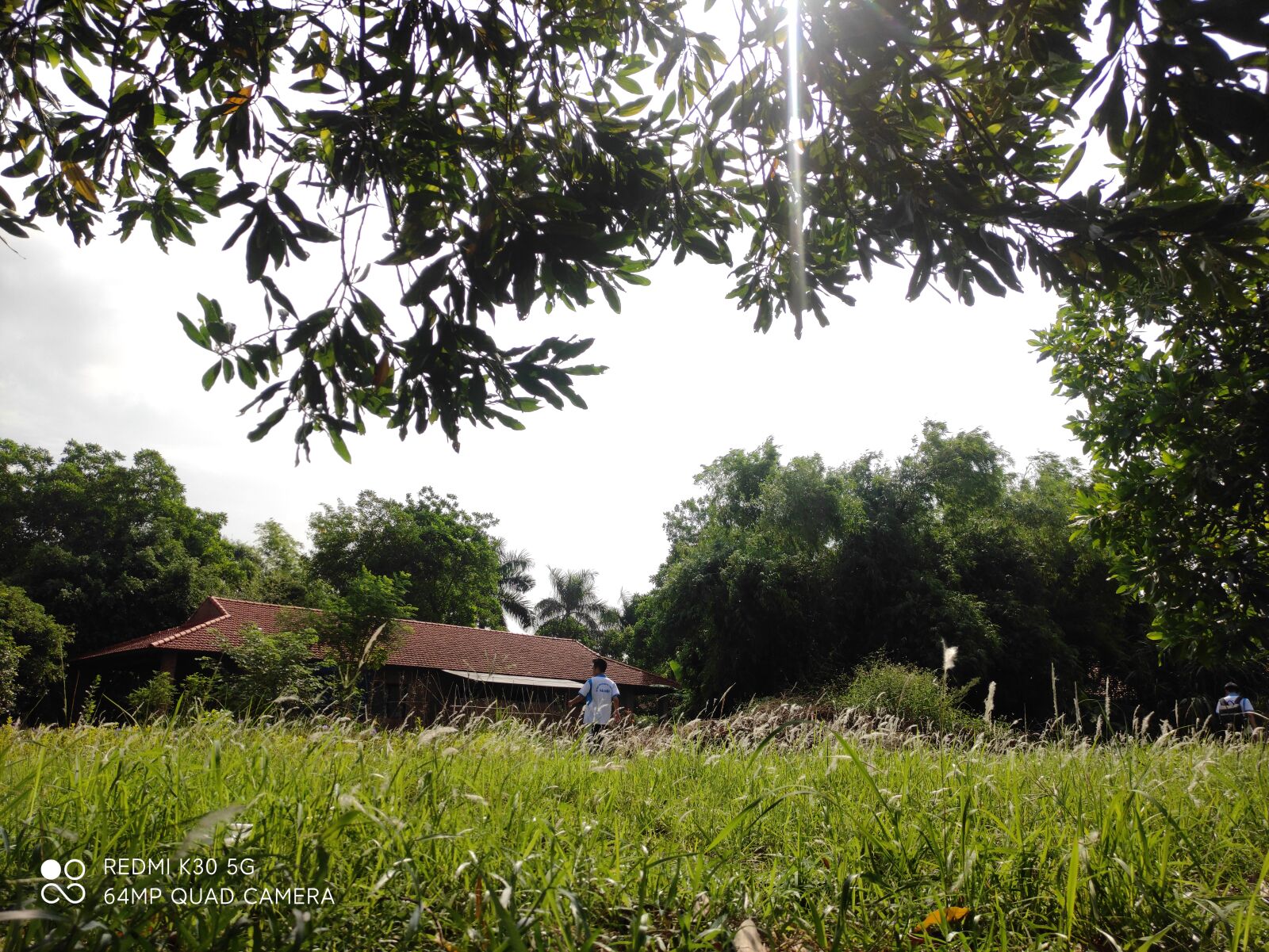 Xiaomi Redmi K30 5G sample photo. Eat, sleep, learning photography