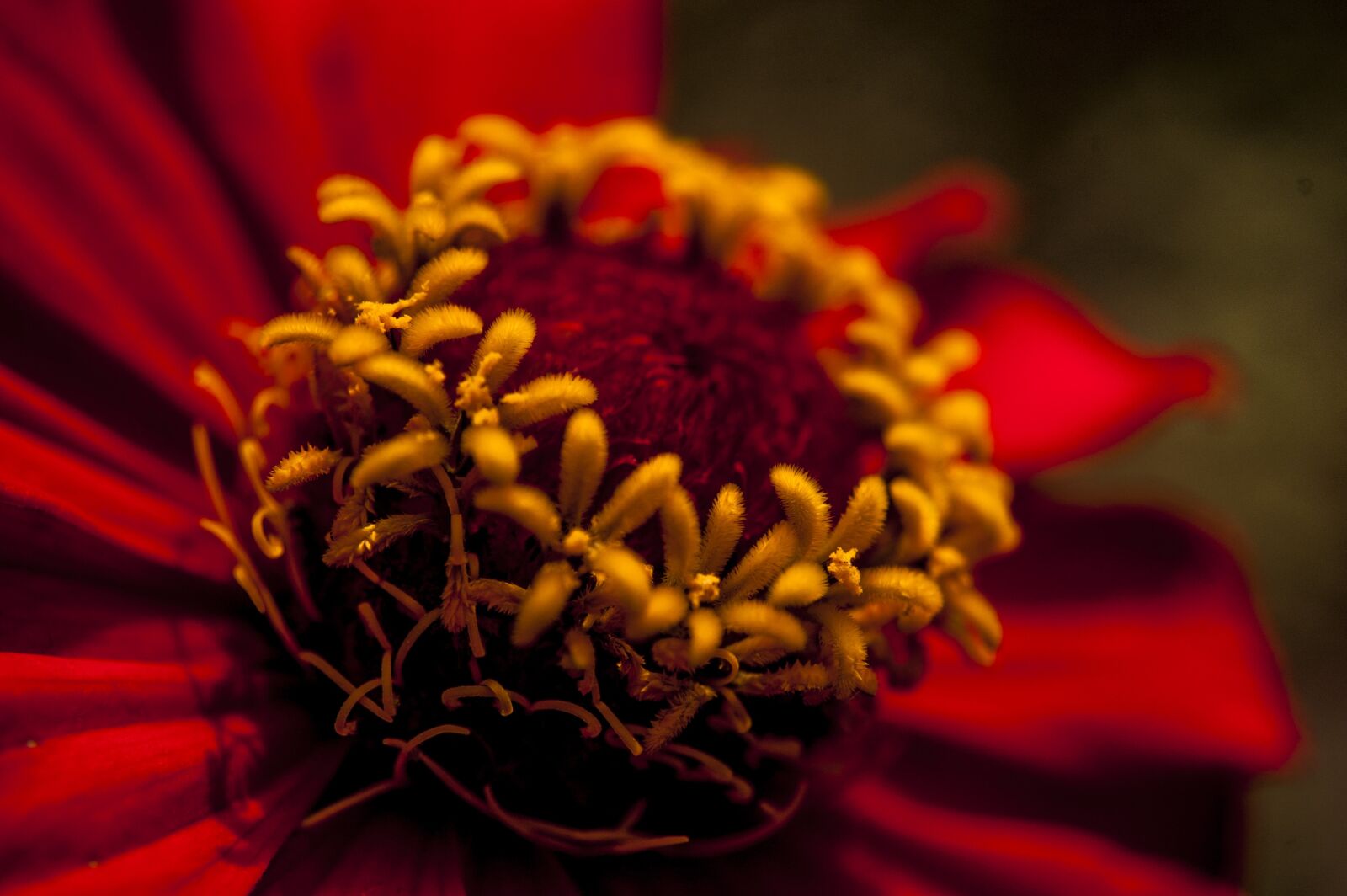Nikon D40 sample photo. Nature, forest, color photography