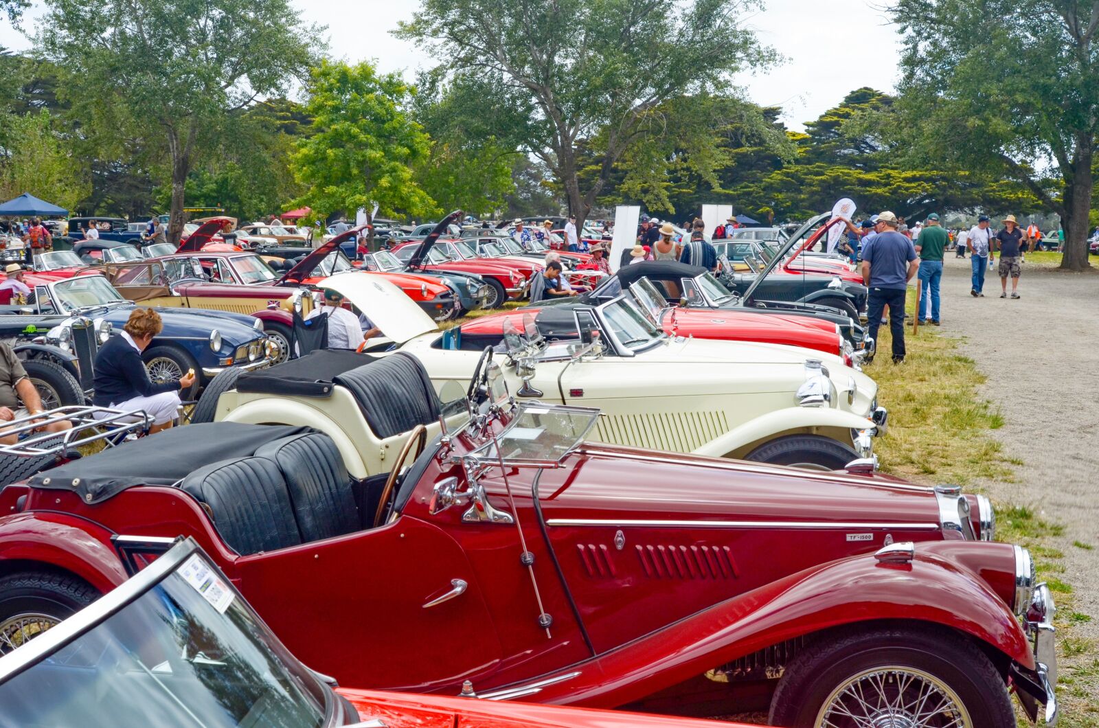 Nikon D7000 sample photo. Mg cars, mg, mg's photography