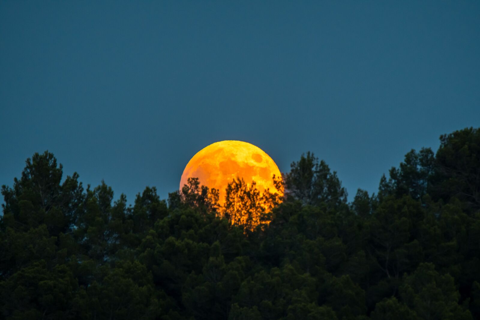 Tamron SP 150-600mm F5-6.3 Di VC USD sample photo. Moon, luna red, nature photography