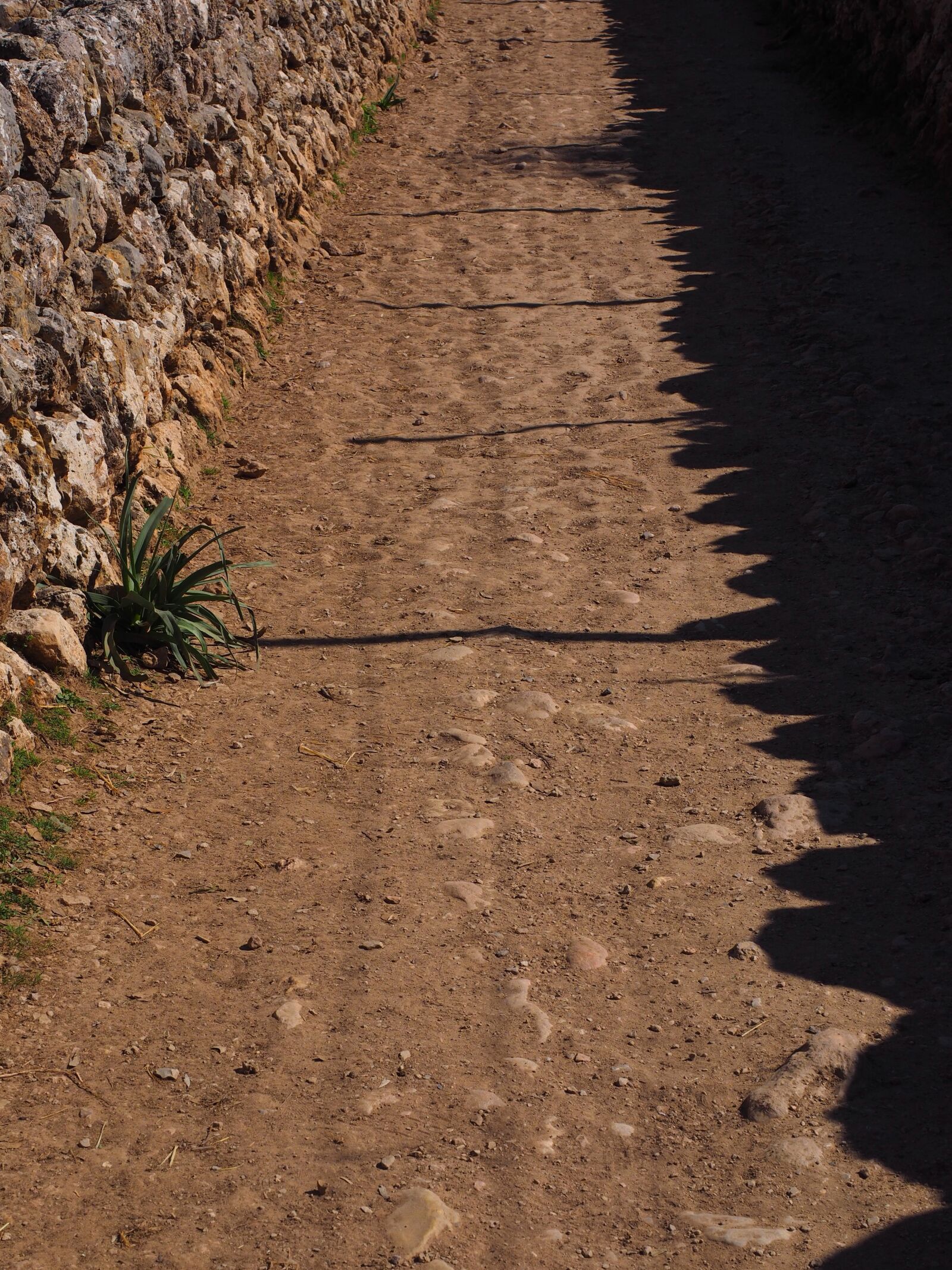 Olympus OM-D E-M1 + Olympus M.Zuiko Digital ED 12-40mm F2.8 Pro sample photo. Away, lane, stone wall photography