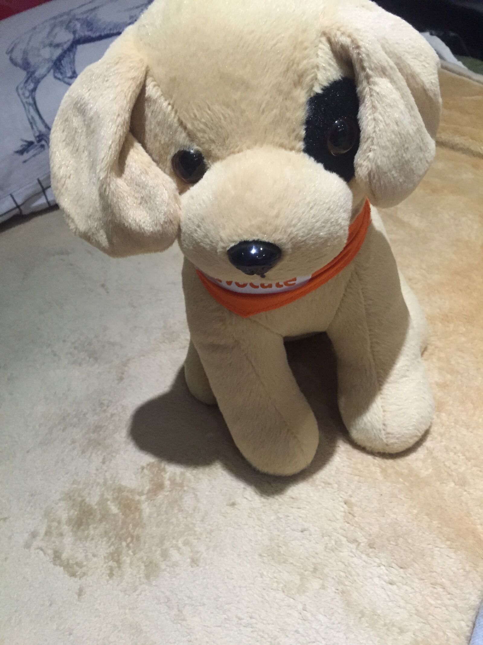 iPhone 6 back camera 4.15mm f/2.2 sample photo. Doll, rag doll, dog photography