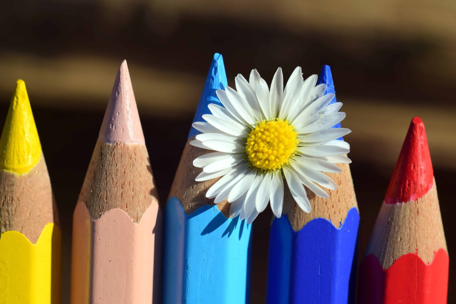 Nikon D3300 sample photo. Pencil, education, wood, creativity photography