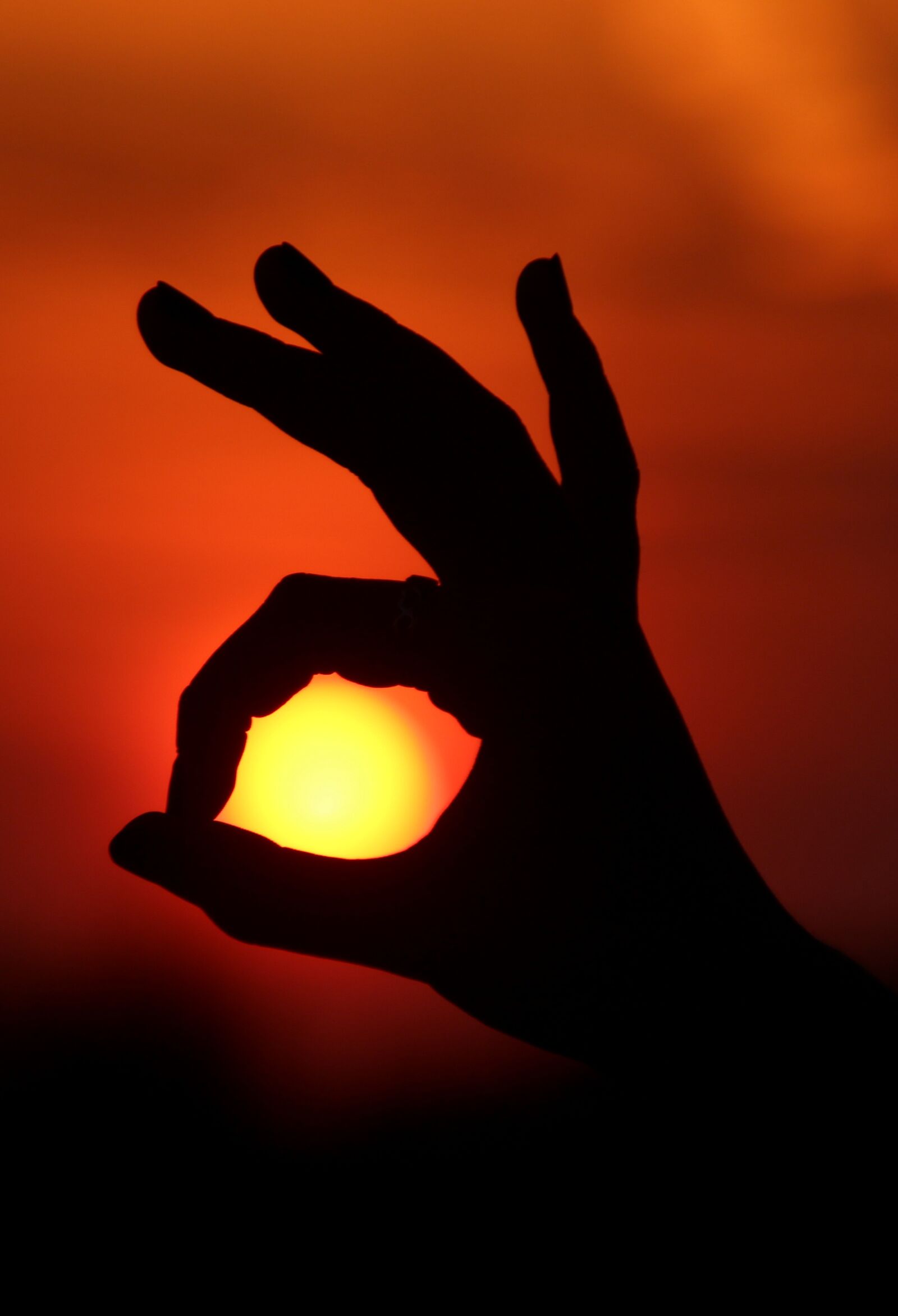 Canon EOS 700D (EOS Rebel T5i / EOS Kiss X7i) sample photo. Sun, hand, fingers photography