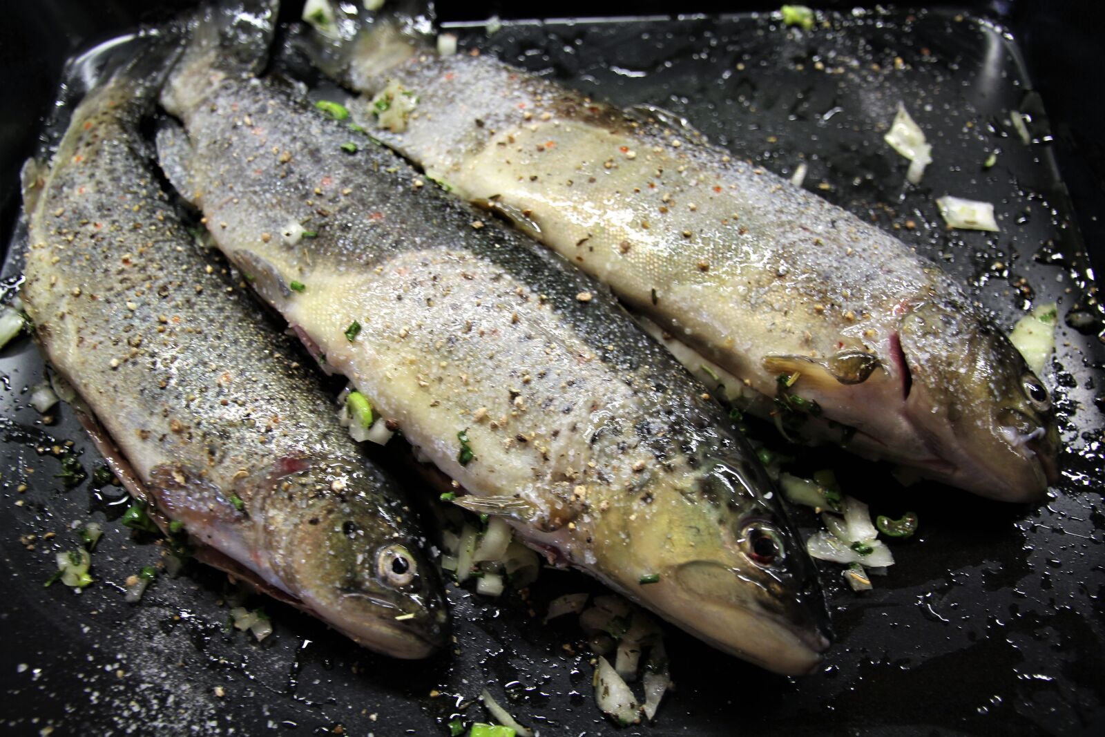 Canon EOS 60D sample photo. Fish, trout, brook trout photography