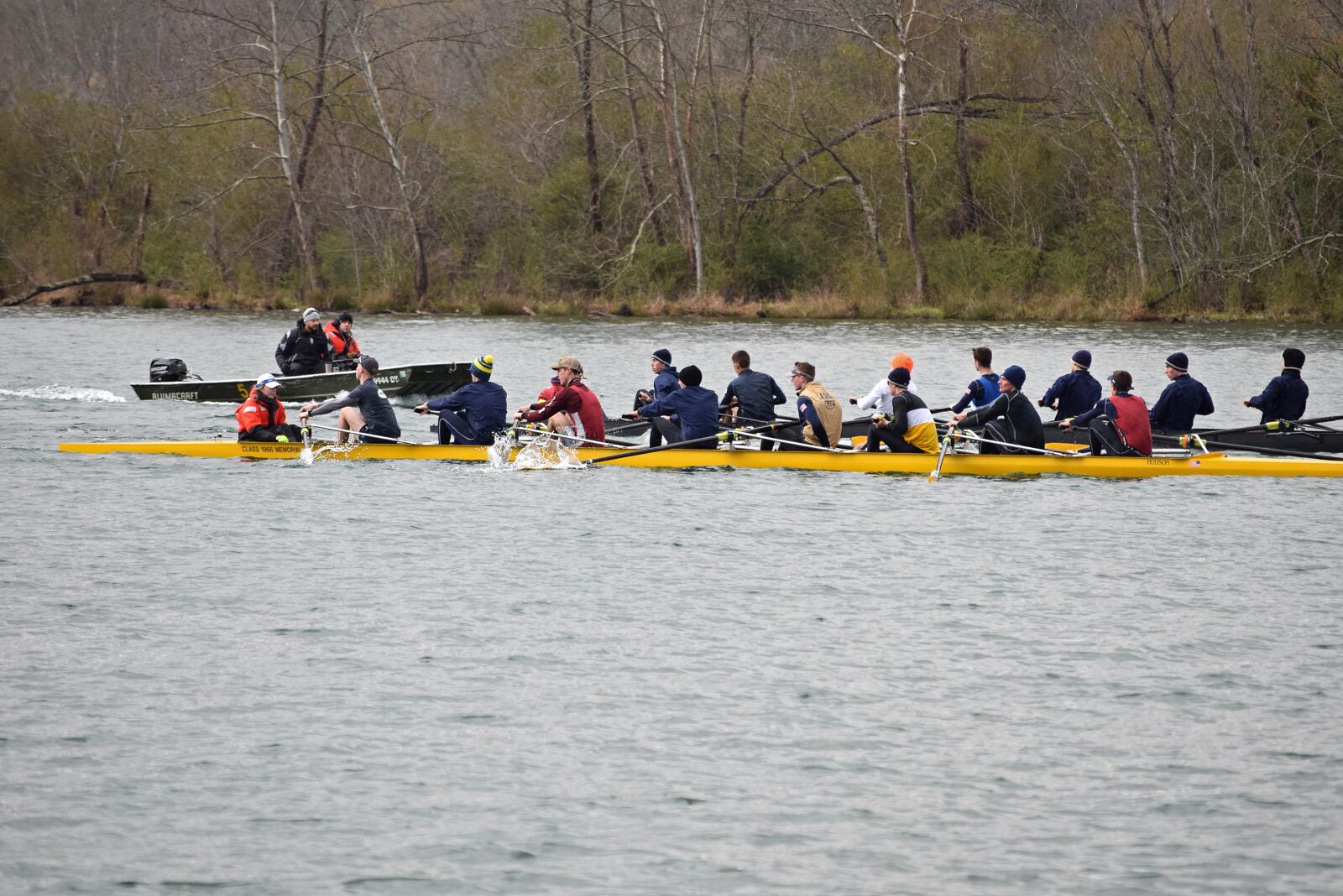 Nikon D3300 sample photo. Scull rowing, clinch river photography