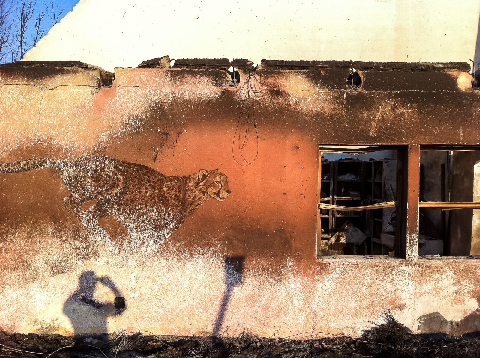 Apple iPhone 4 sample photo. Cheetah, africa, namibia photography