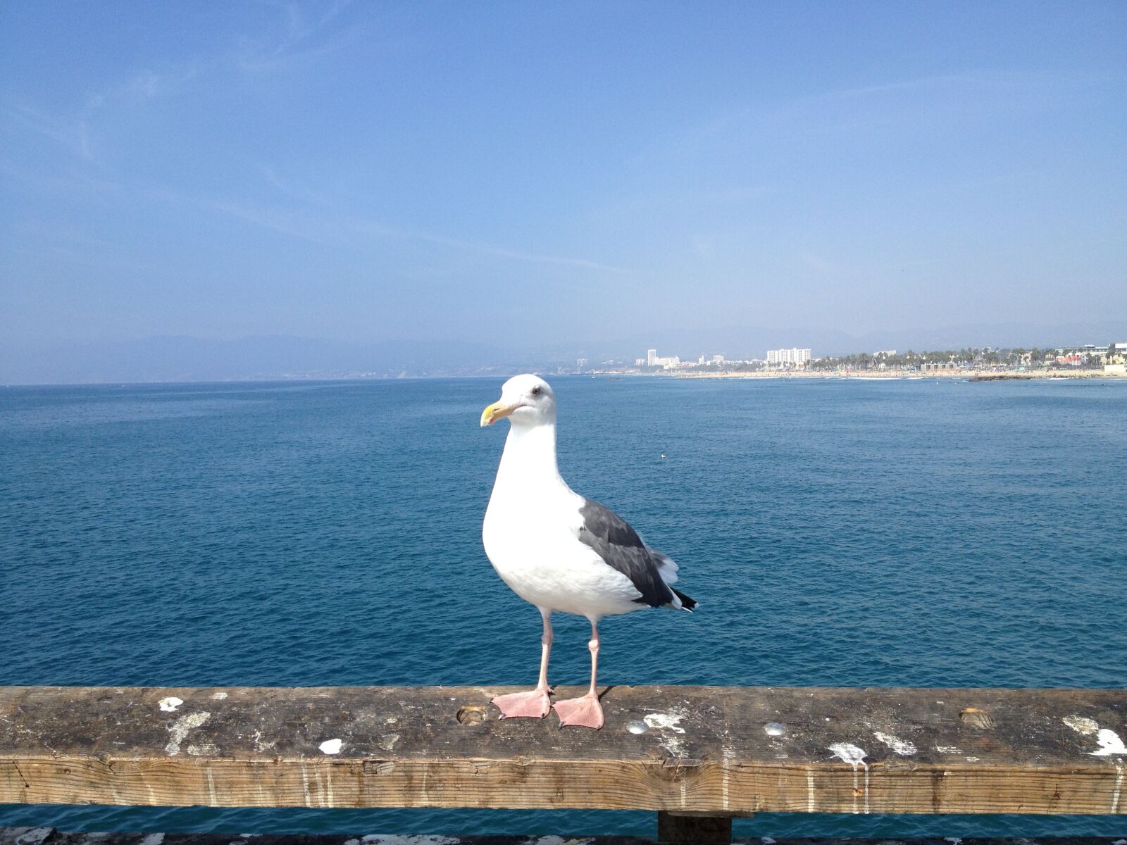 Apple iPhone 4S sample photo. Los angeles, beach, sea photography