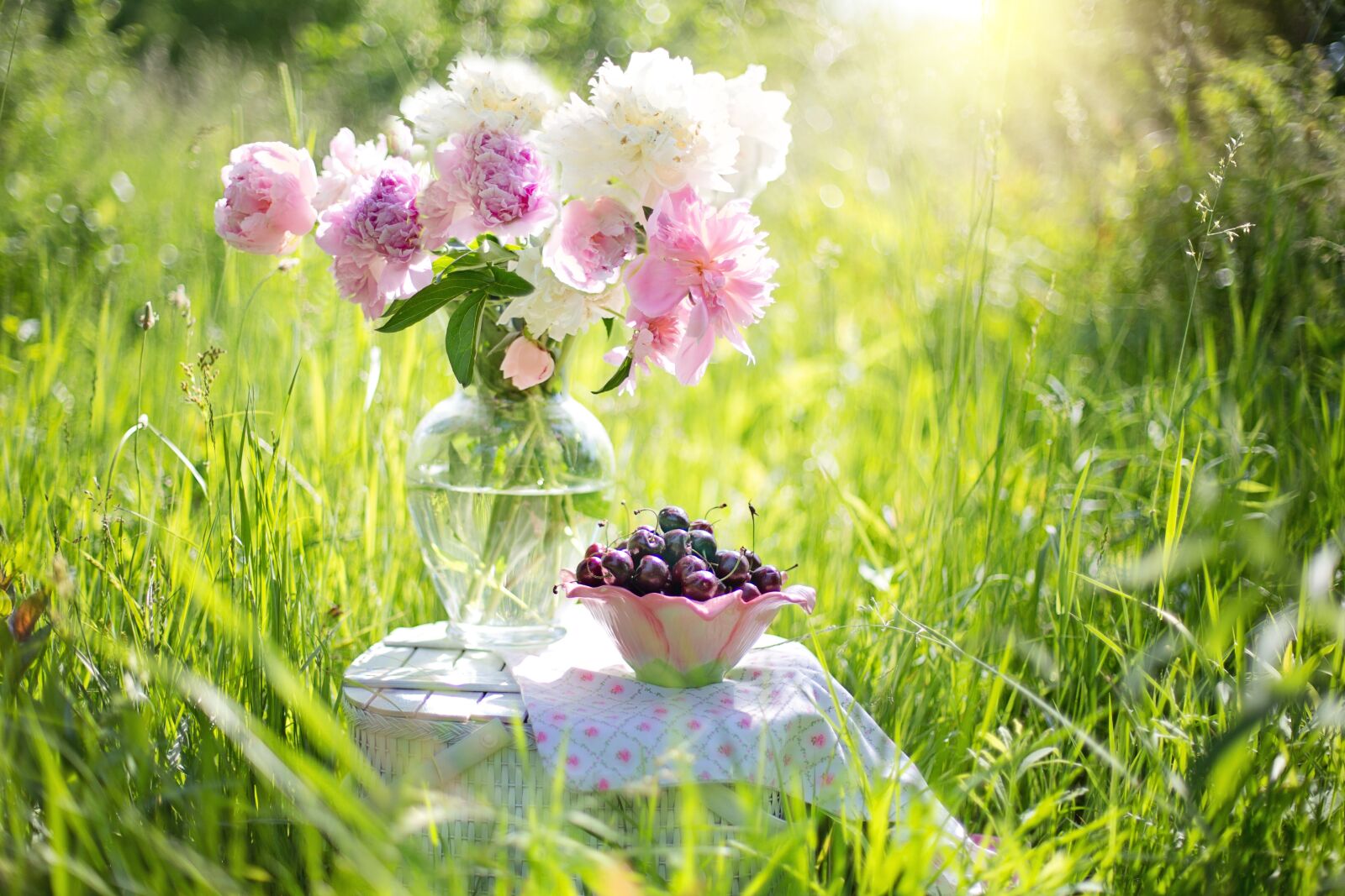 Canon EF 50mm F1.4 USM sample photo. Cherries, peonies, pink photography