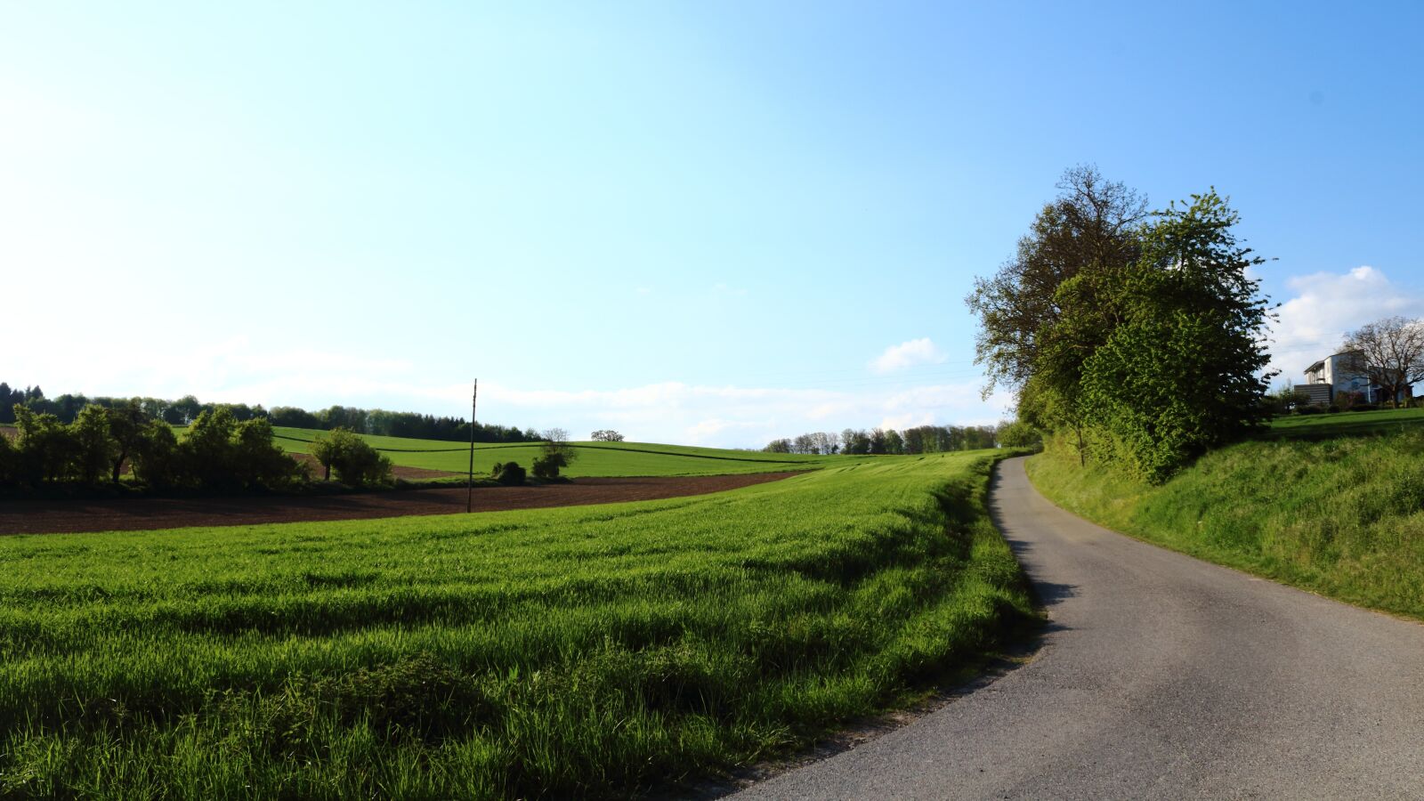Canon EOS 1300D (EOS Rebel T6 / EOS Kiss X80) sample photo. Road, tree, sky photography