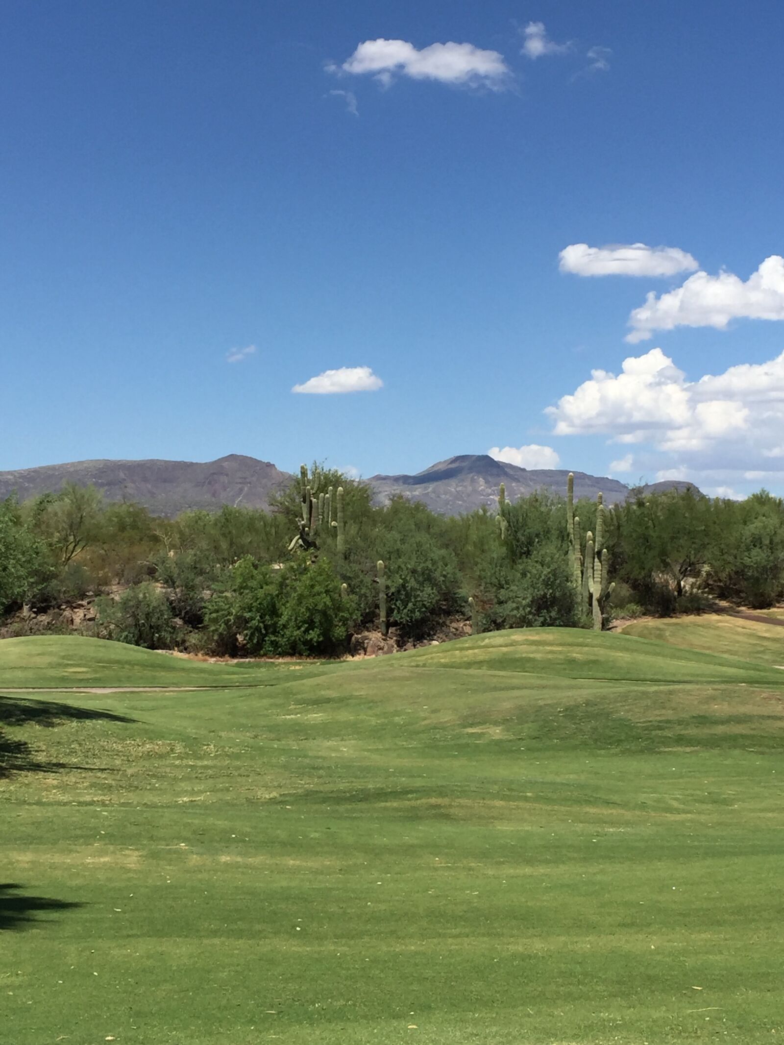 iPhone 6 Plus back camera 4.15mm f/2.2 sample photo. Arizona, blue, sky, desert photography
