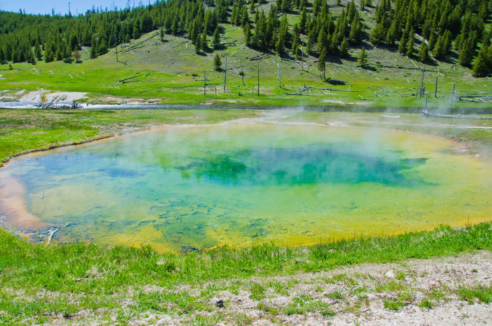 Nikon D7000 sample photo. Yellow stone, scenic, nature photography