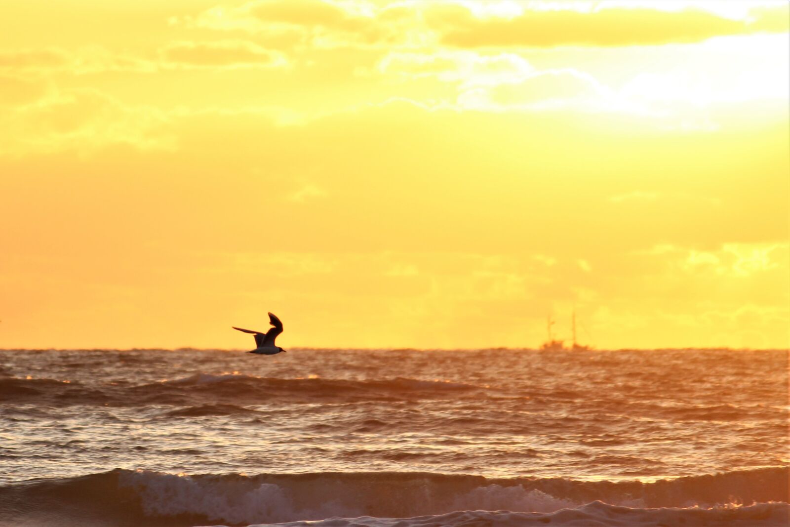 Canon EOS 4000D (EOS Rebel T100 / EOS 3000D) sample photo. Sea, sunset, ocean photography