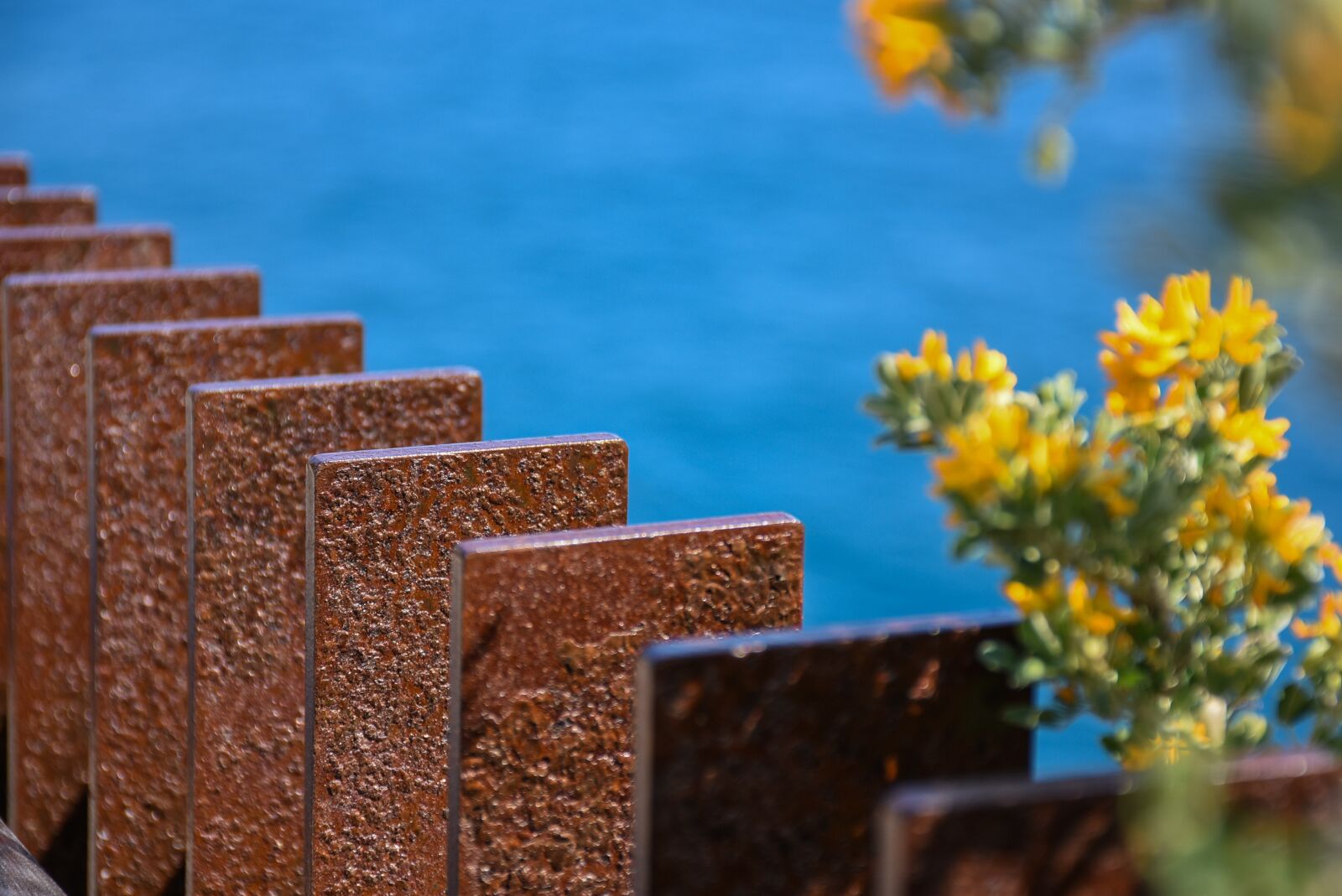 Nikon D7200 sample photo. Architecture, sea, flowers photography